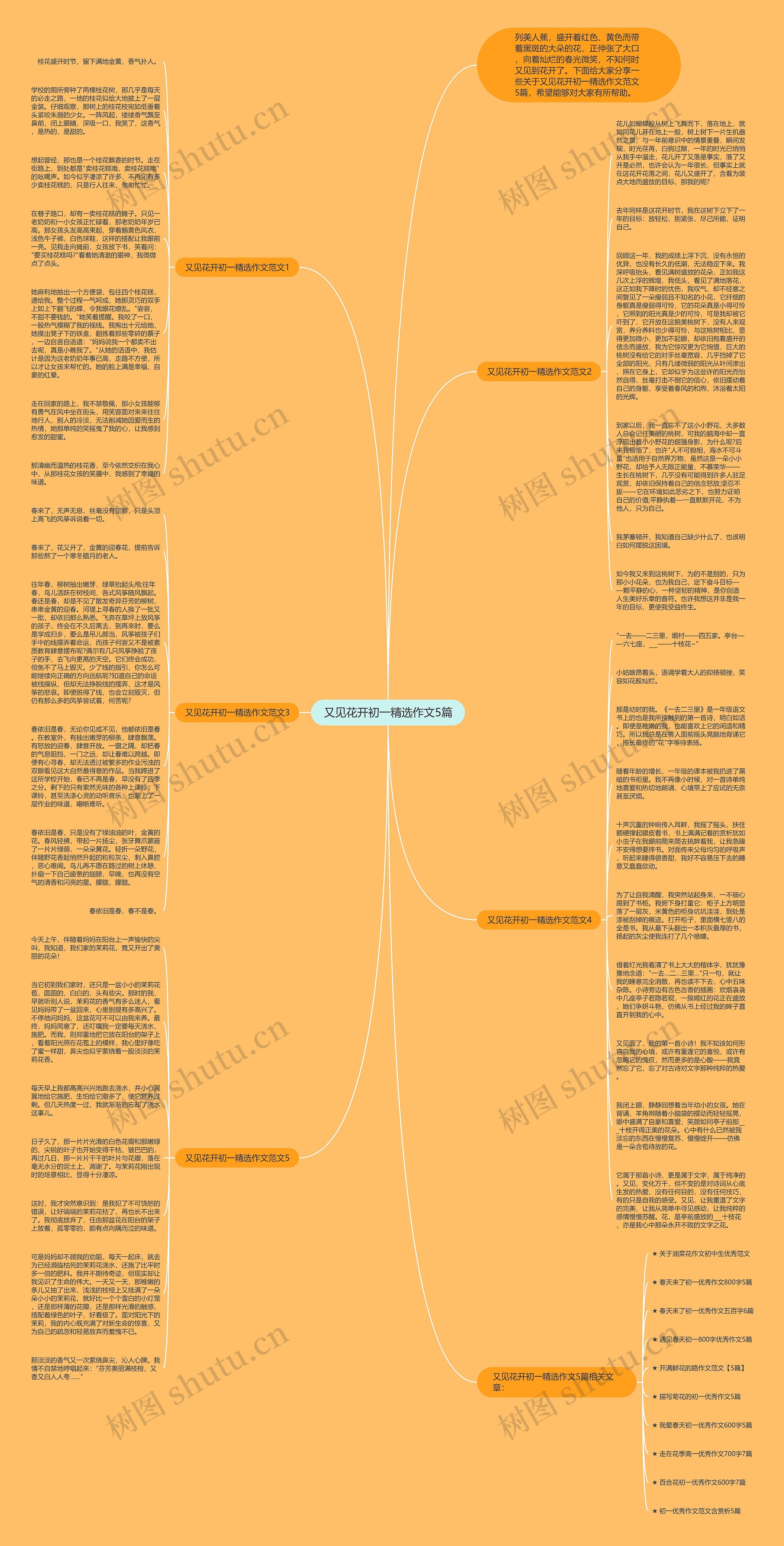 又见花开初一精选作文5篇思维导图
