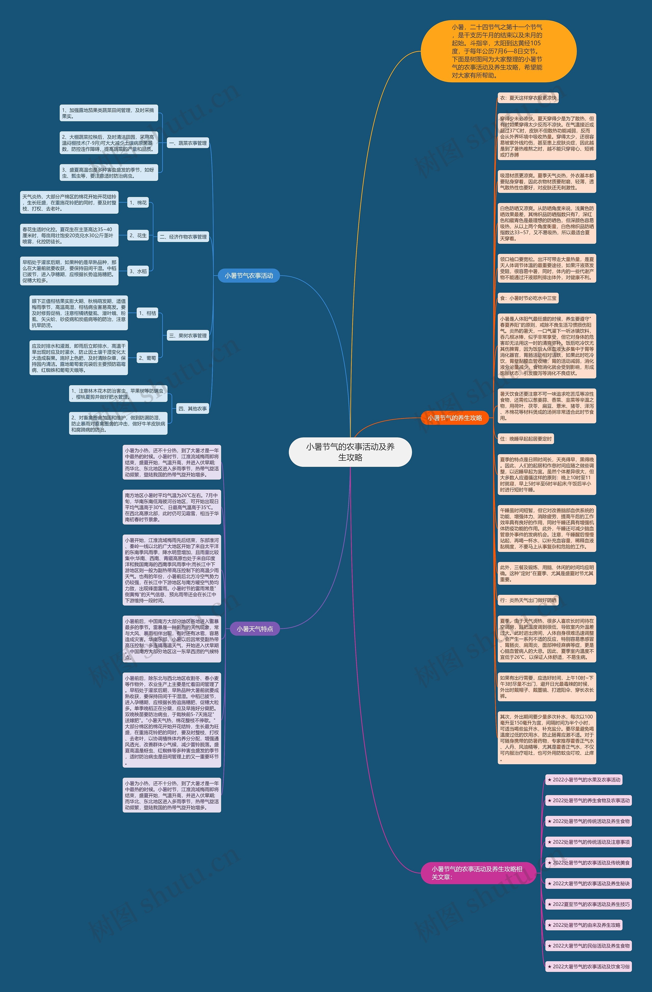 小暑节气的农事活动及养生攻略思维导图
