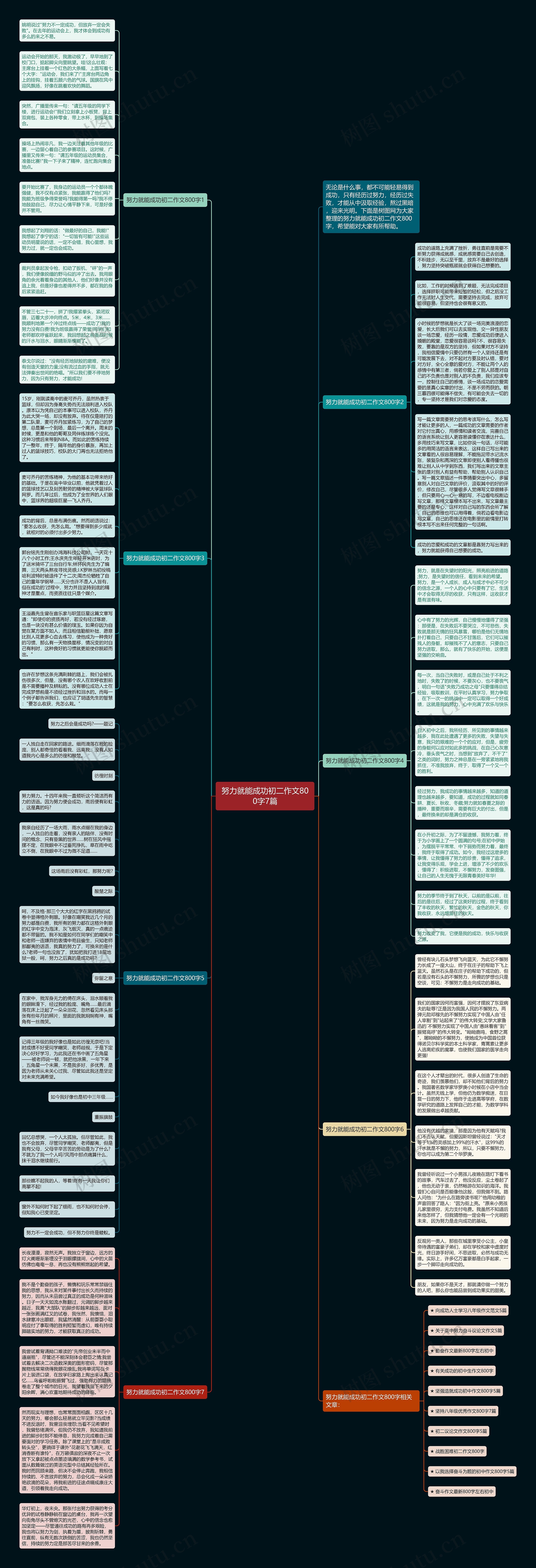 努力就能成功初二作文800字7篇思维导图