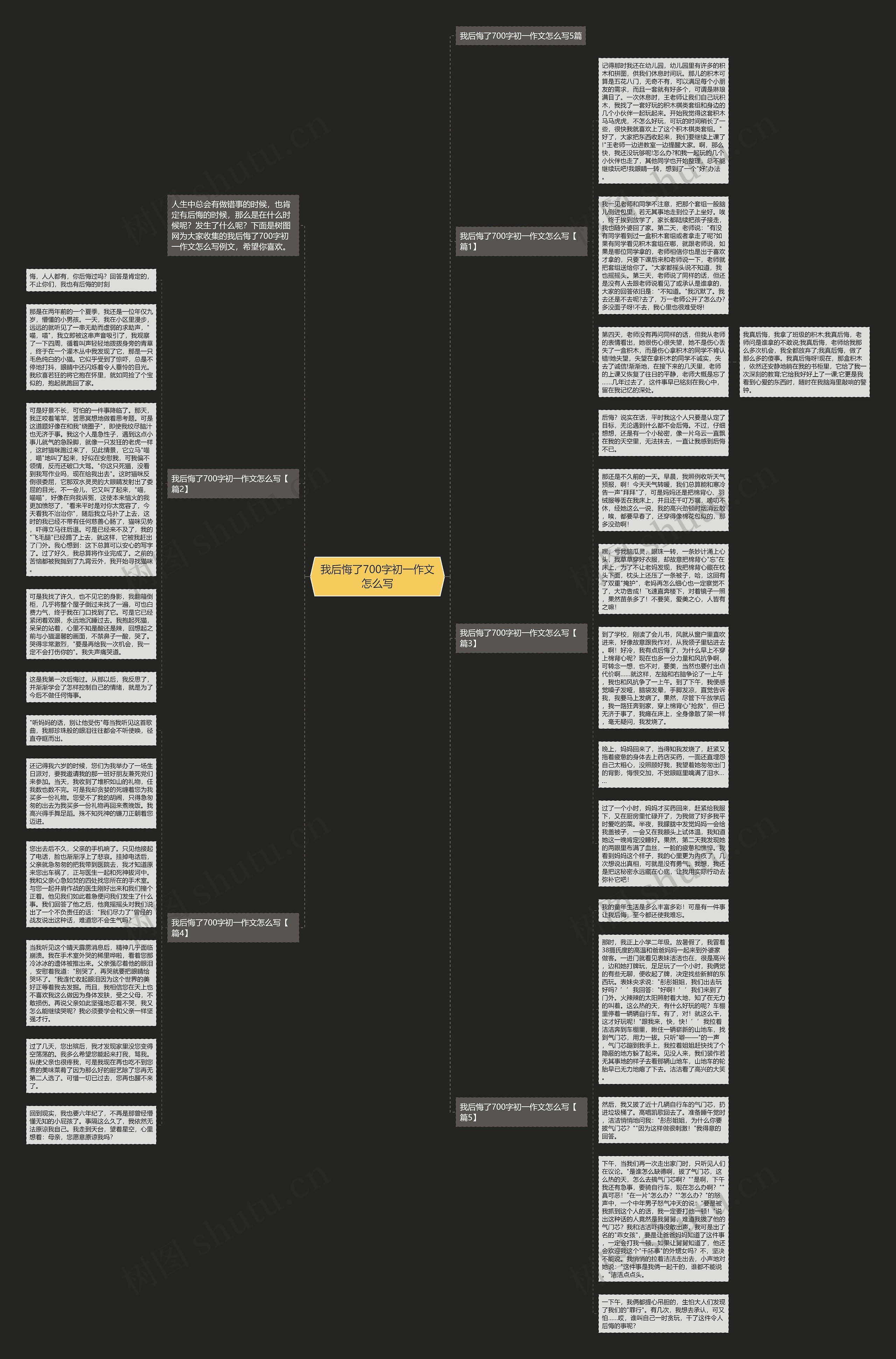 我后悔了700字初一作文怎么写思维导图