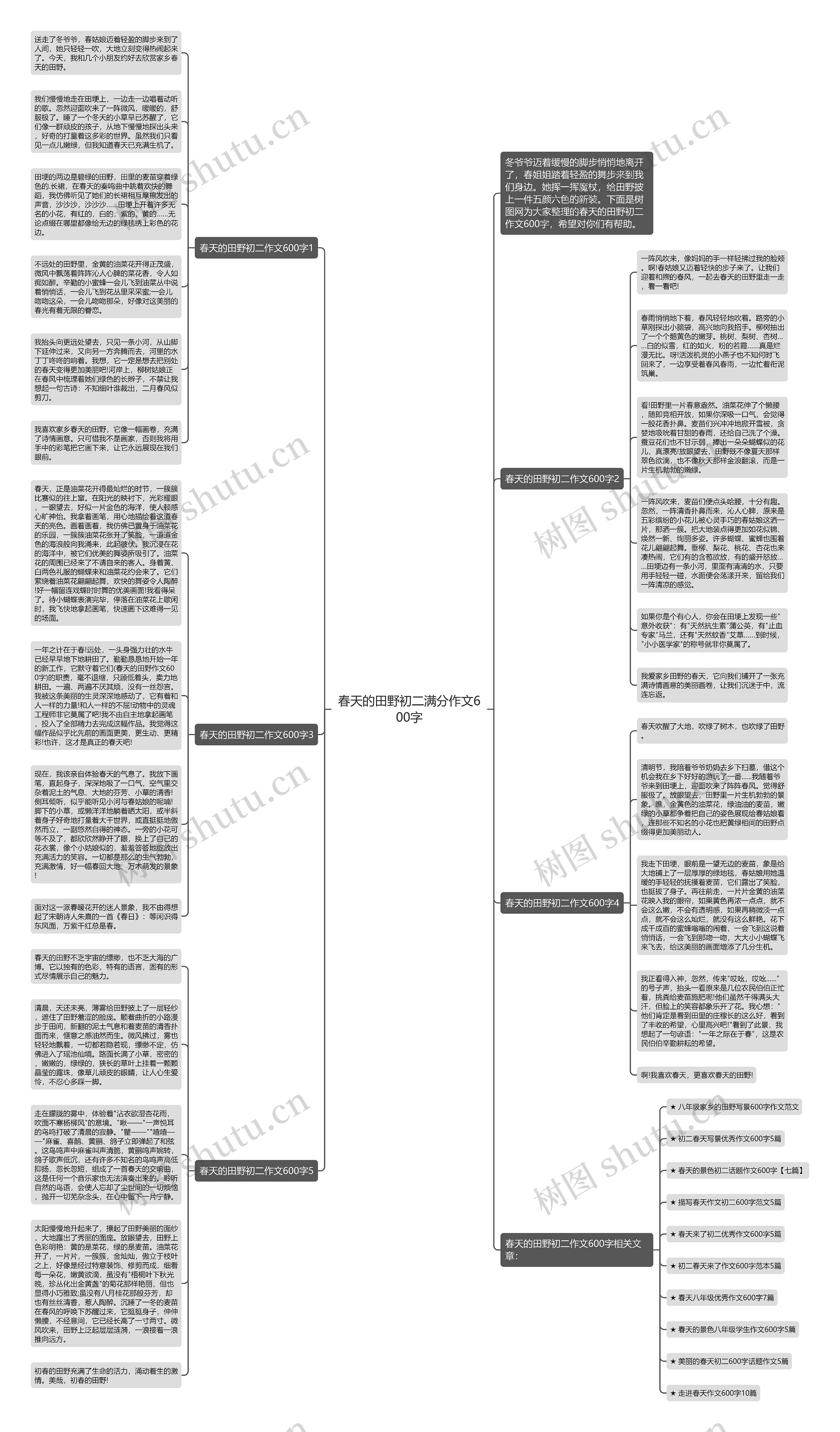 春天的田野初二满分作文600字思维导图