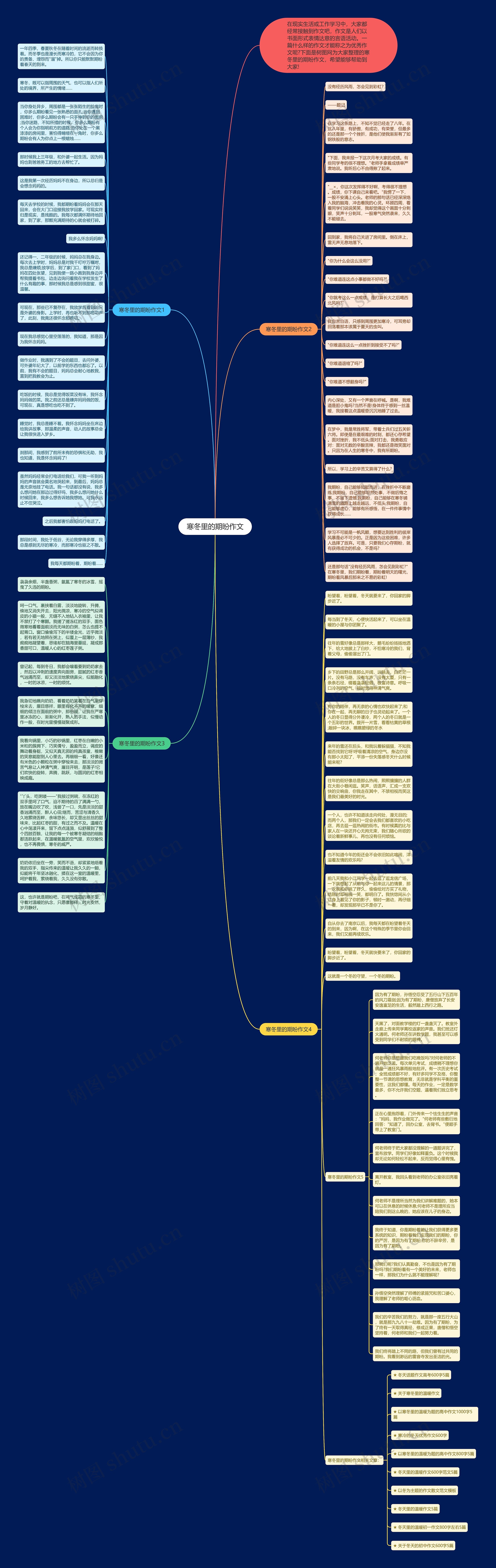 寒冬里的期盼作文思维导图