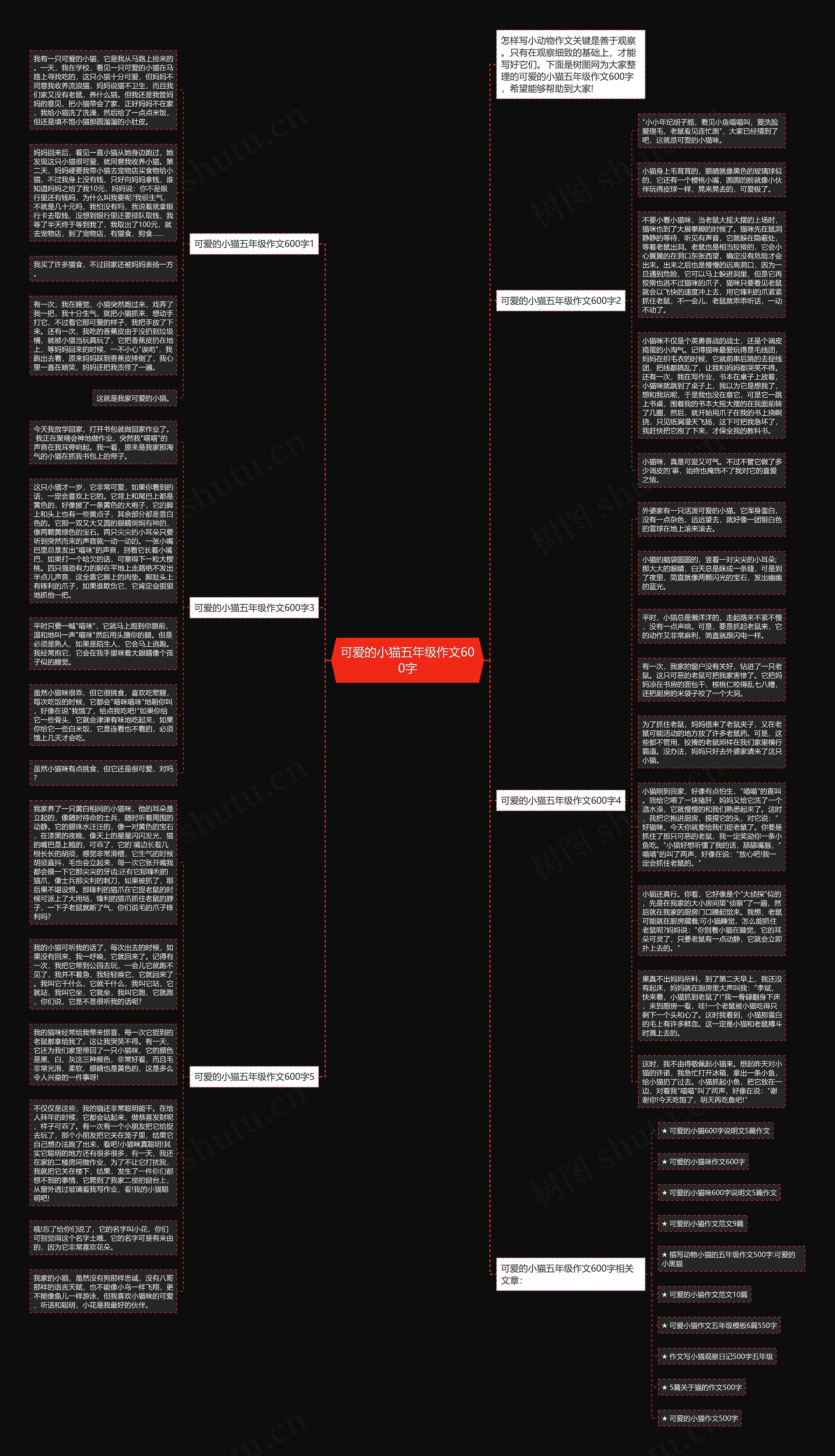 可爱的小猫五年级作文600字思维导图