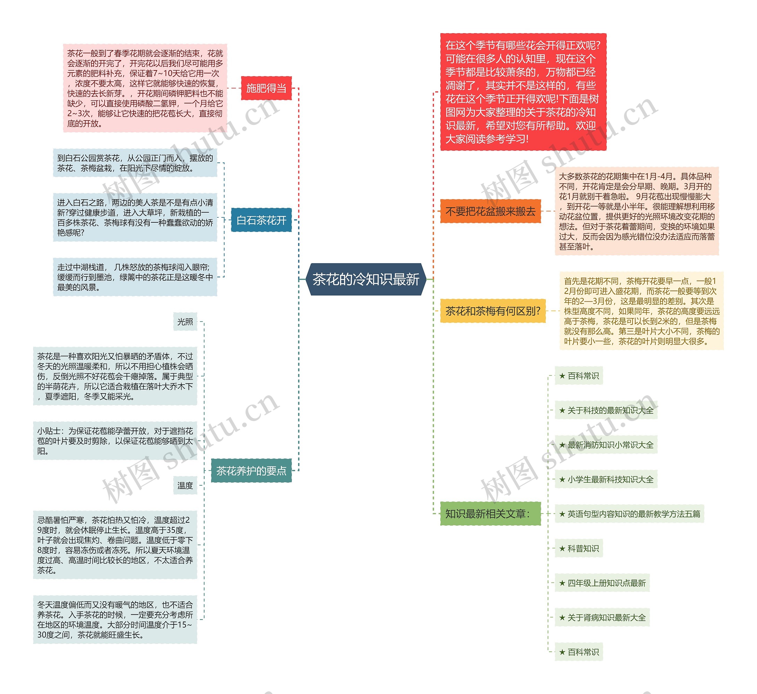 茶花的冷知识最新思维导图