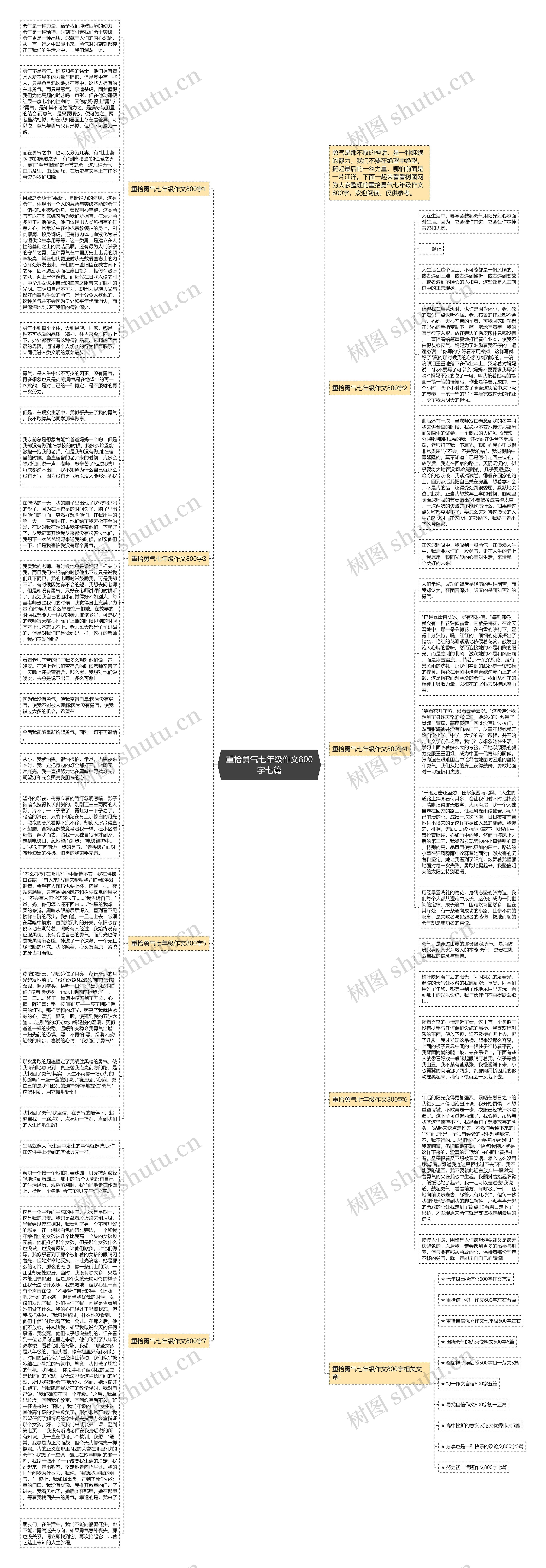 重拾勇气七年级作文800字七篇思维导图