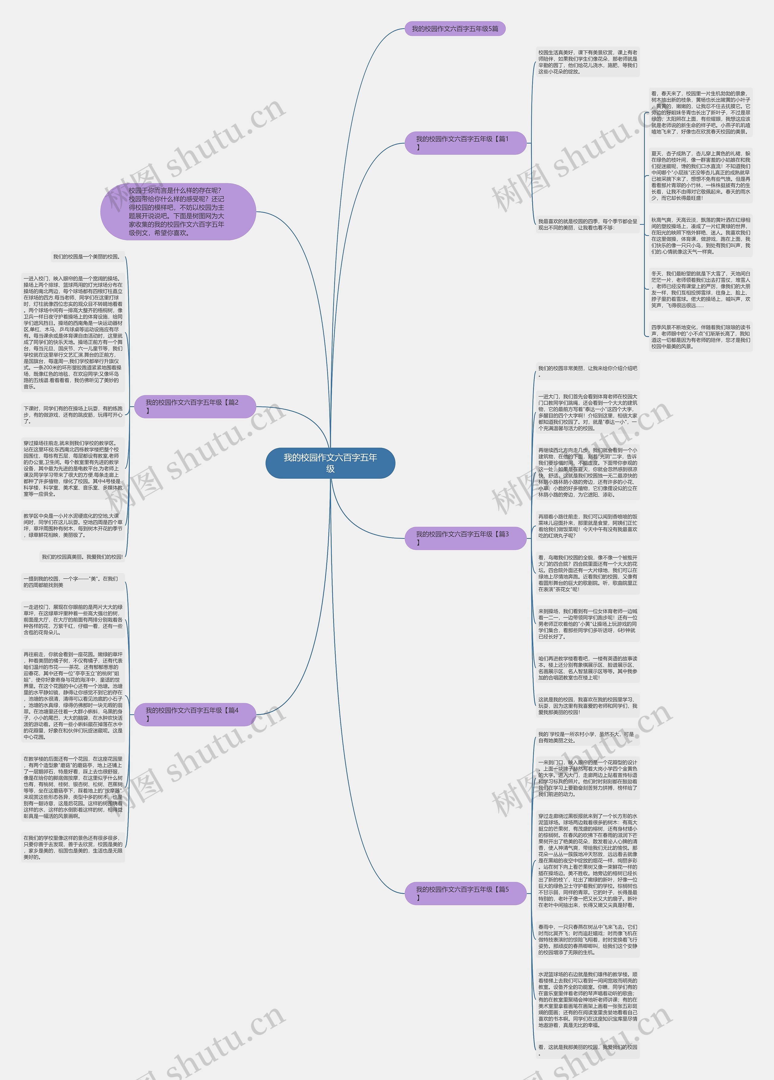 我的校园作文六百字五年级思维导图