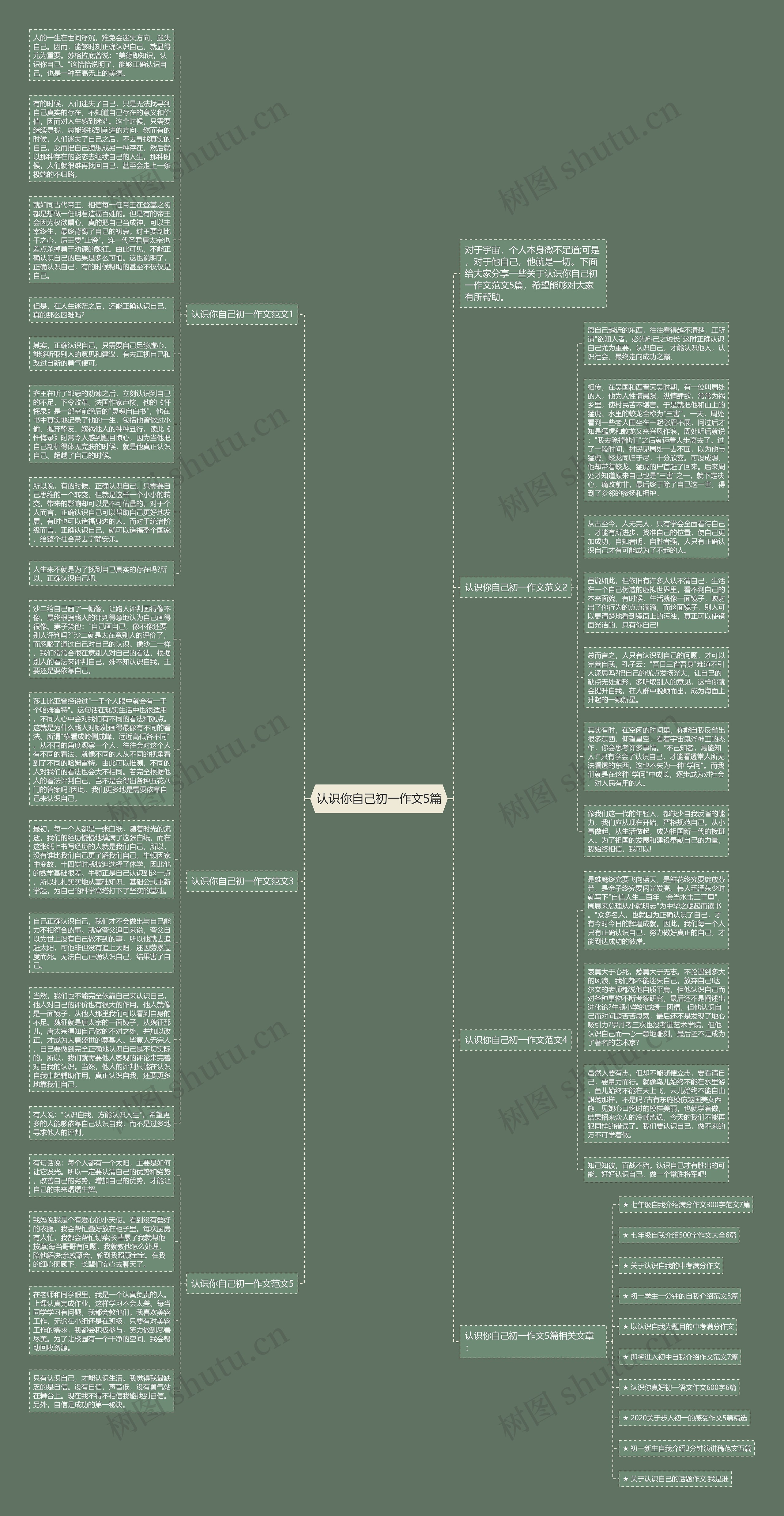 认识你自己初一作文5篇思维导图