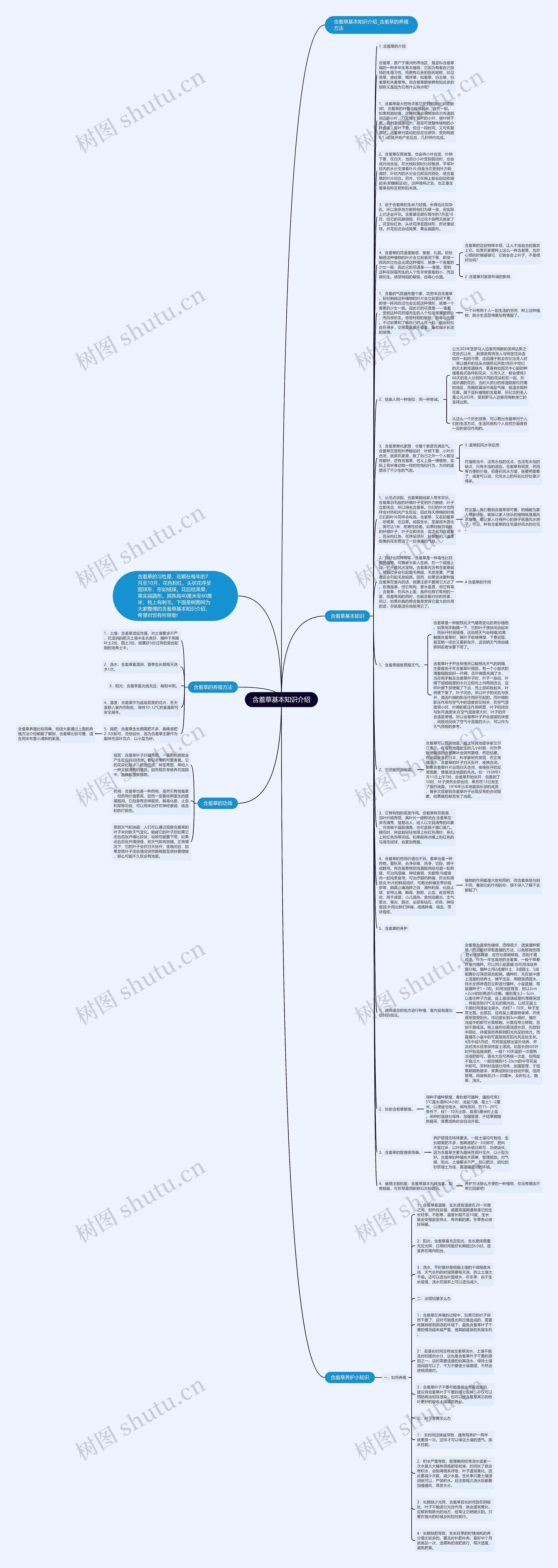 含羞草基本知识介绍思维导图