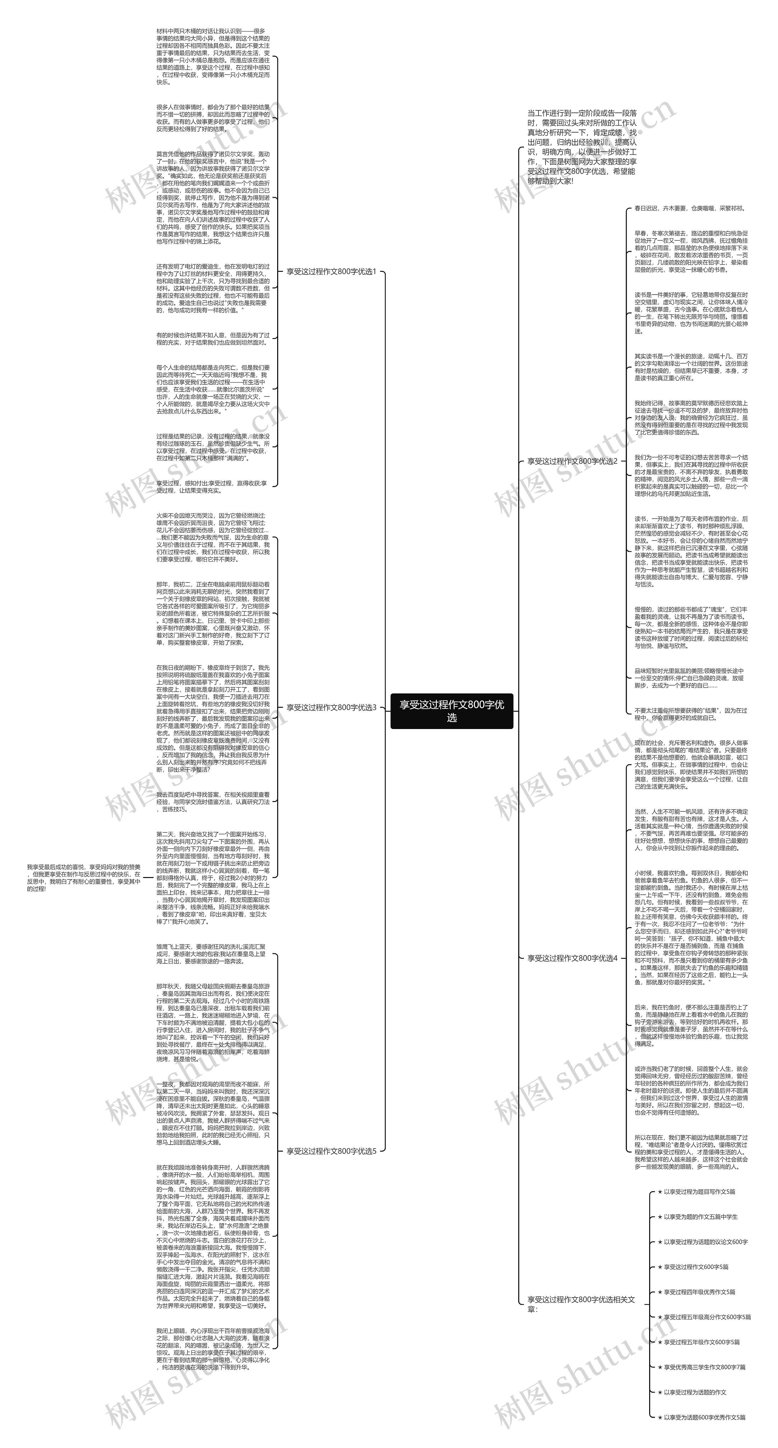 享受这过程作文800字优选思维导图