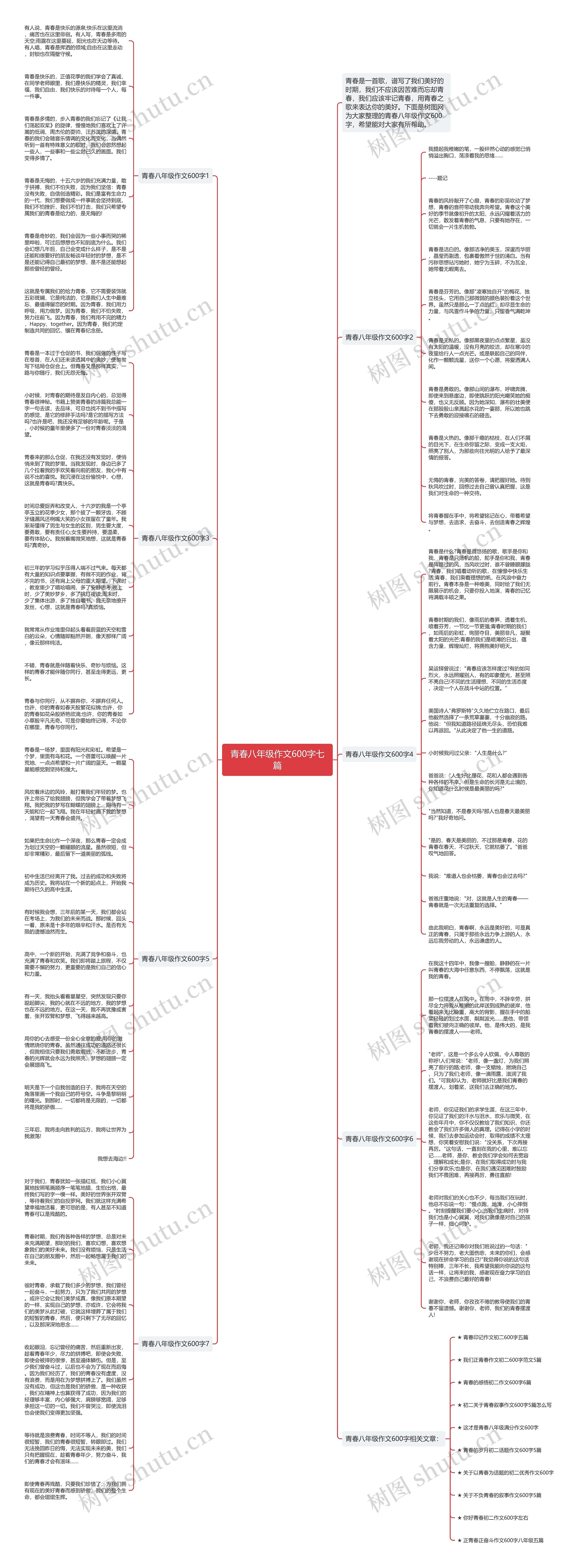 青春八年级作文600字七篇思维导图