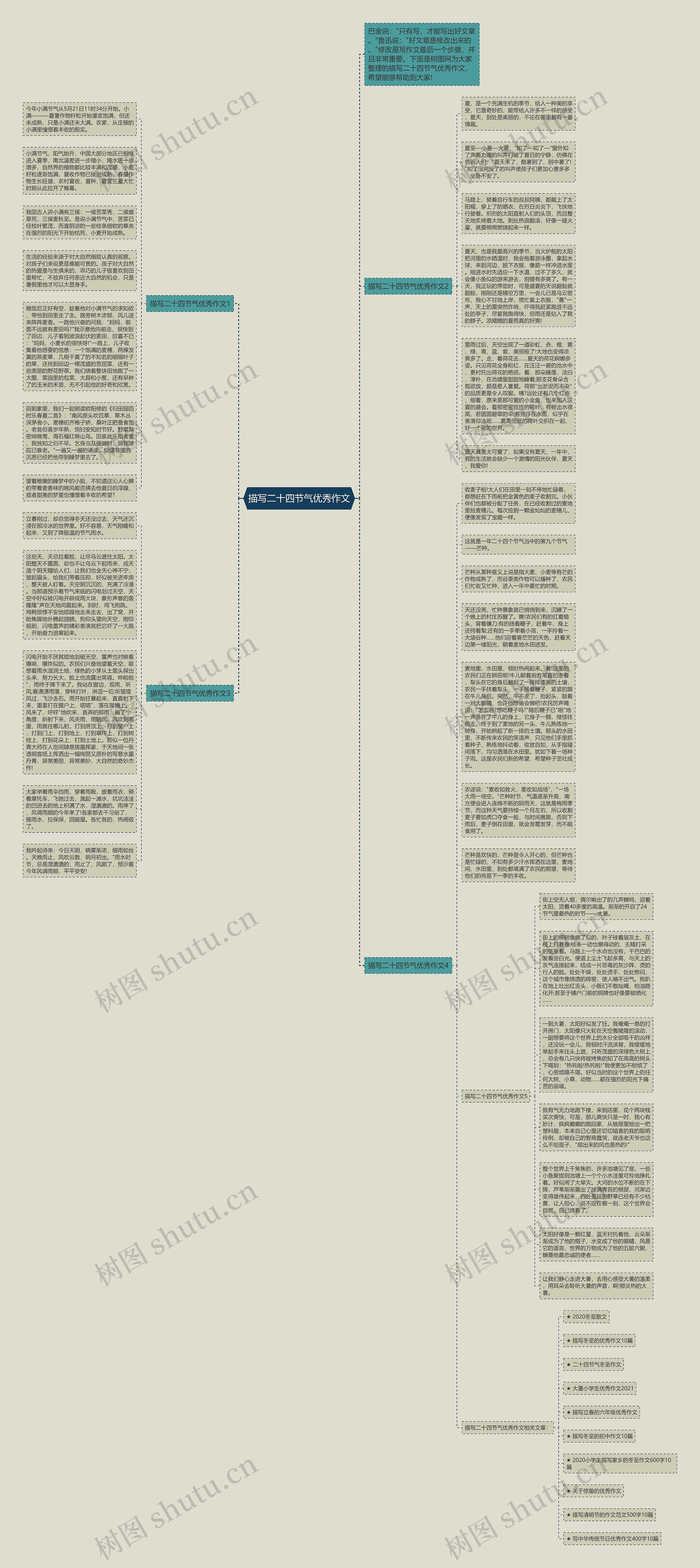 描写二十四节气优秀作文思维导图