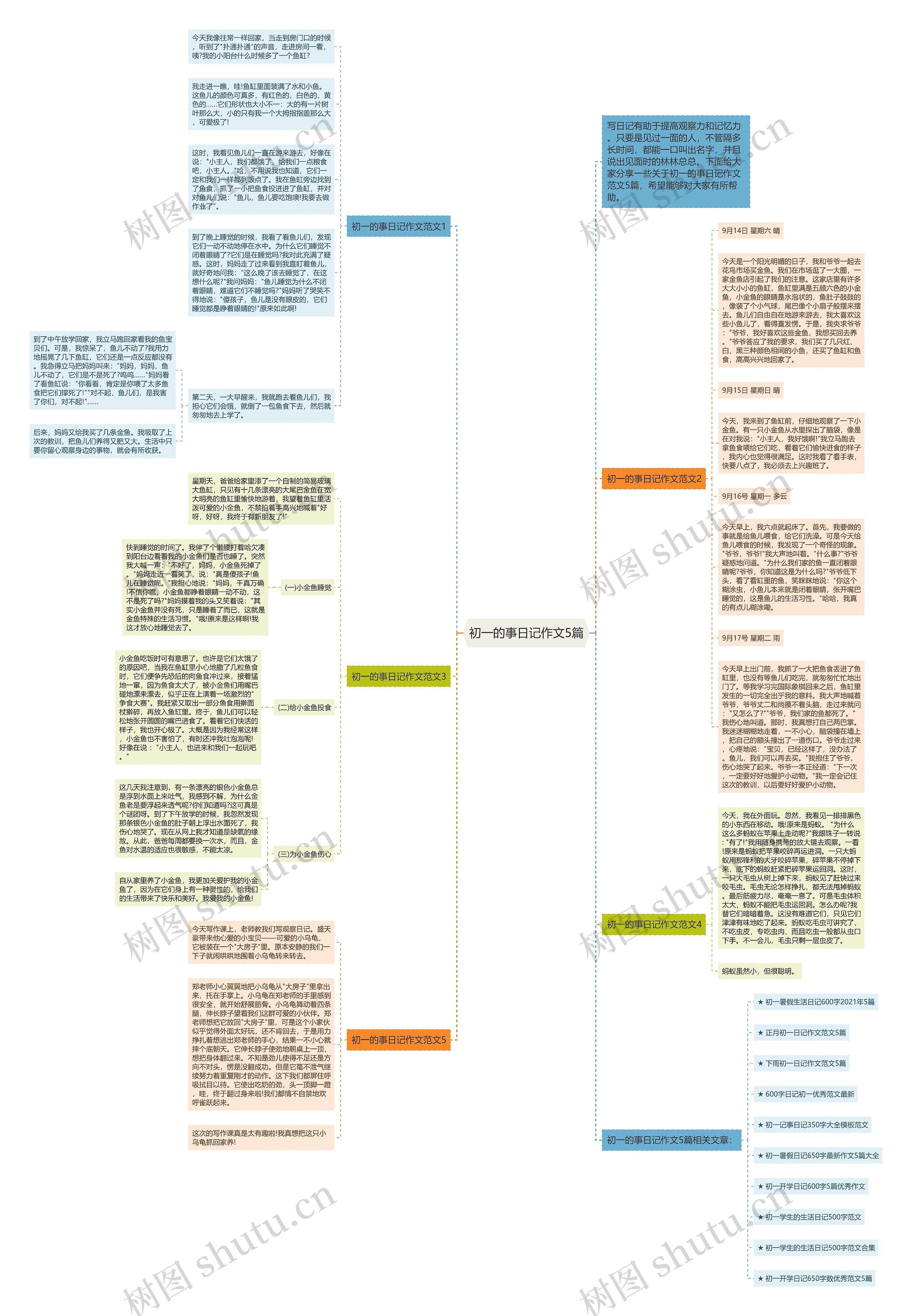 初一的事日记作文5篇思维导图