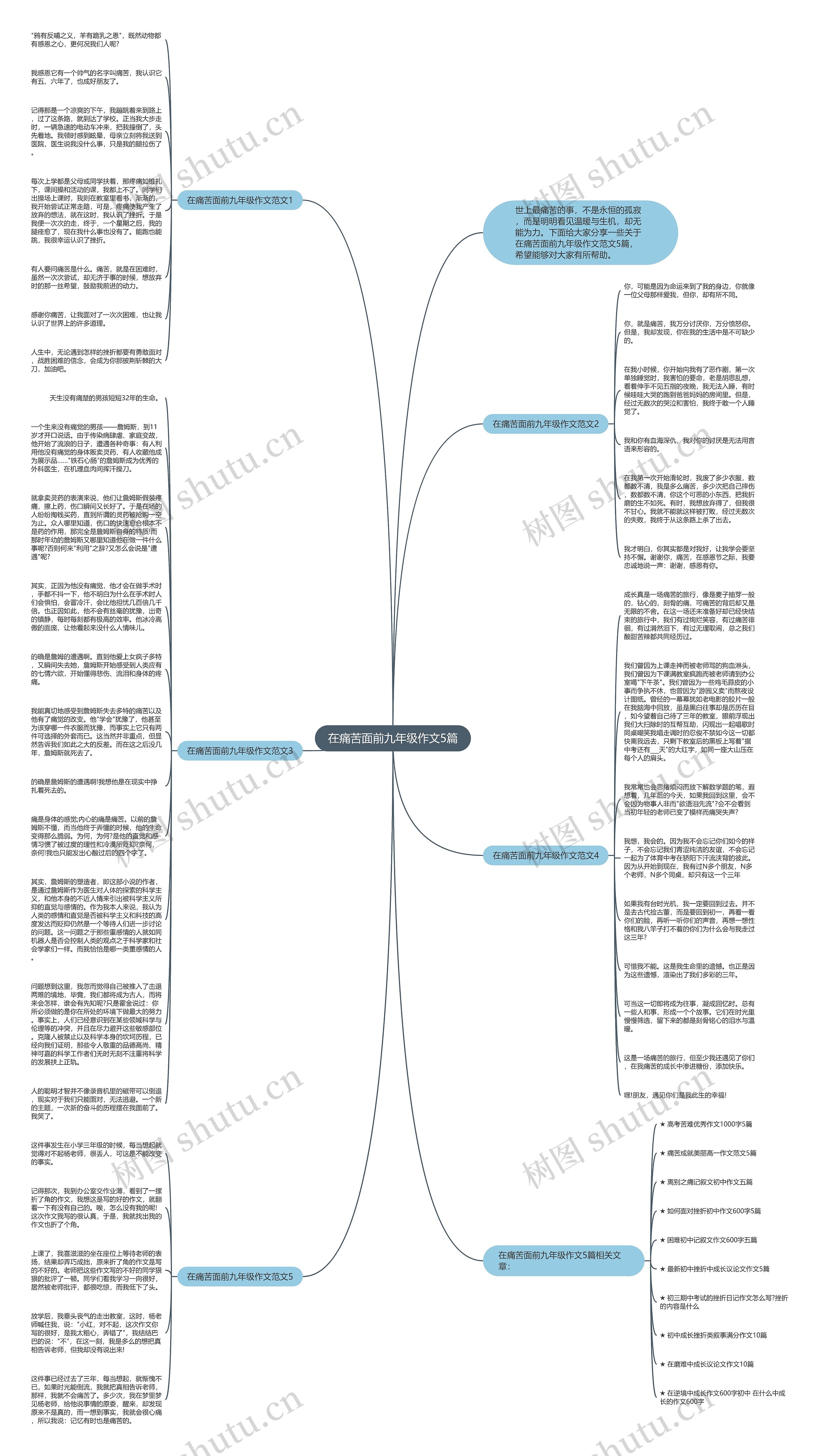 在痛苦面前九年级作文5篇思维导图