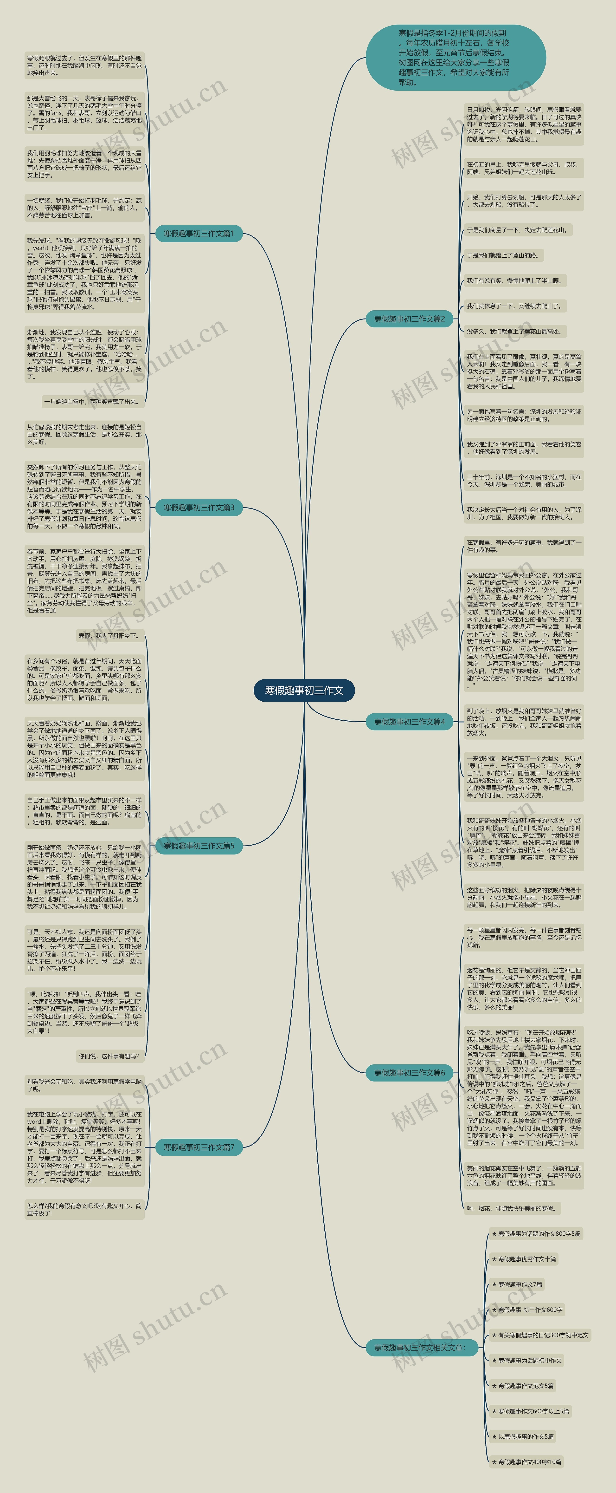 寒假趣事初三作文思维导图