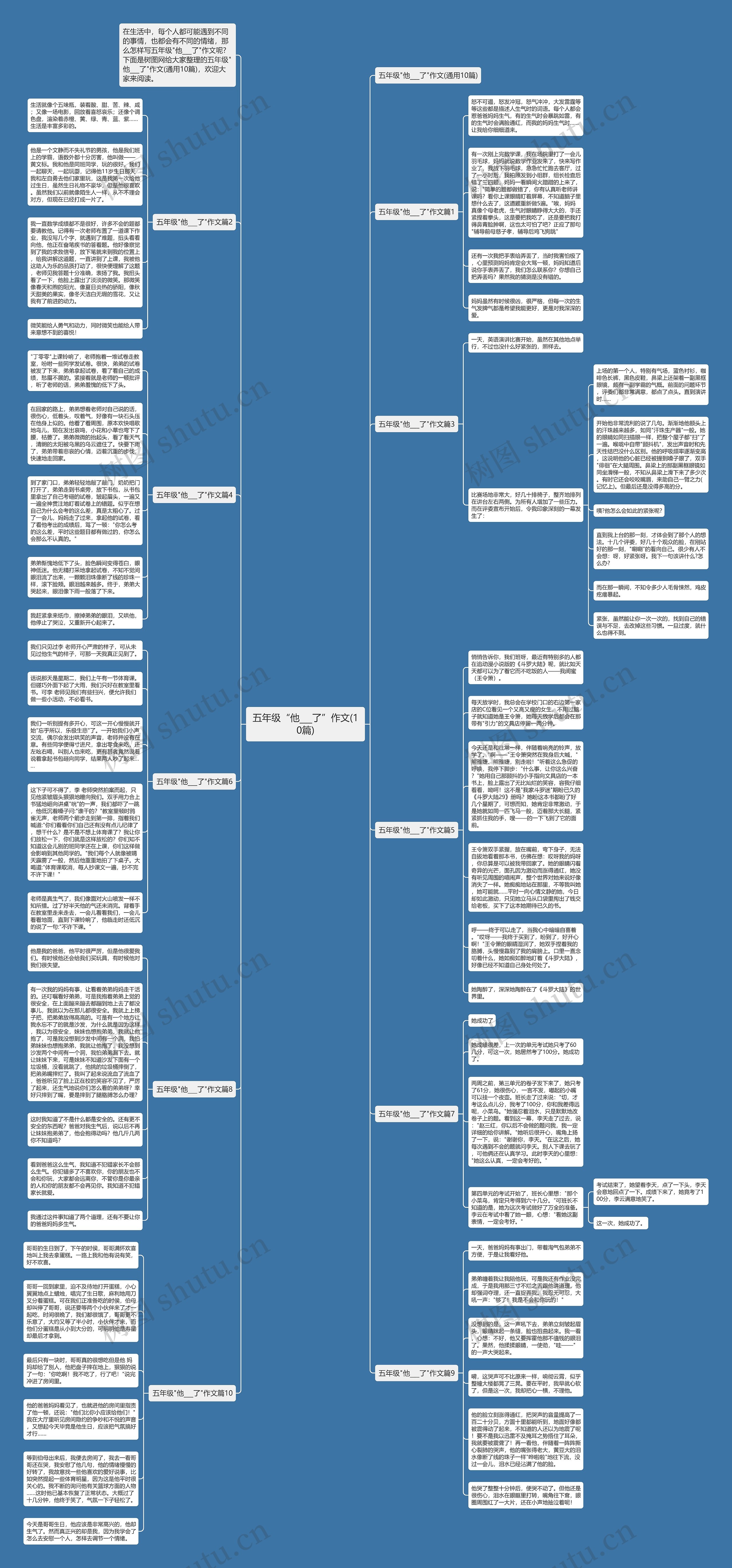 五年级“他___了”作文(10篇)思维导图