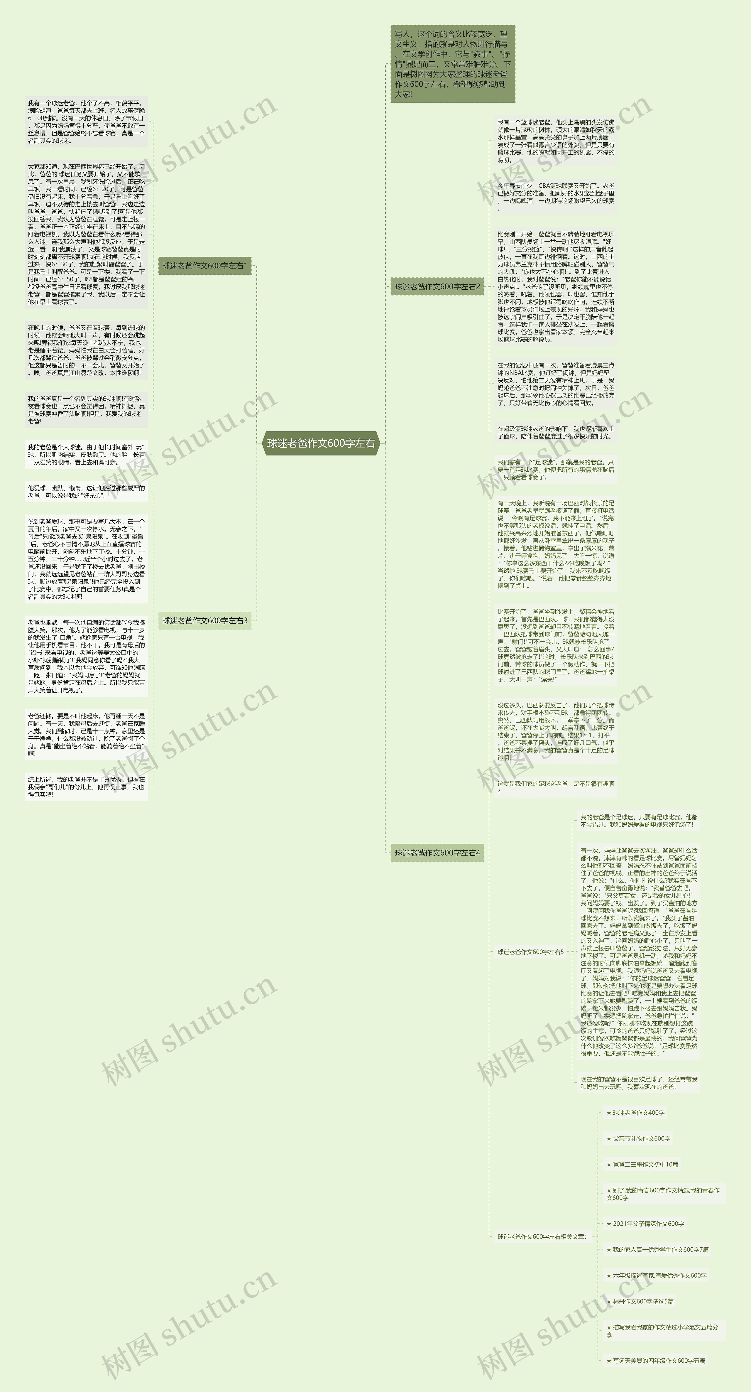 球迷老爸作文600字左右思维导图