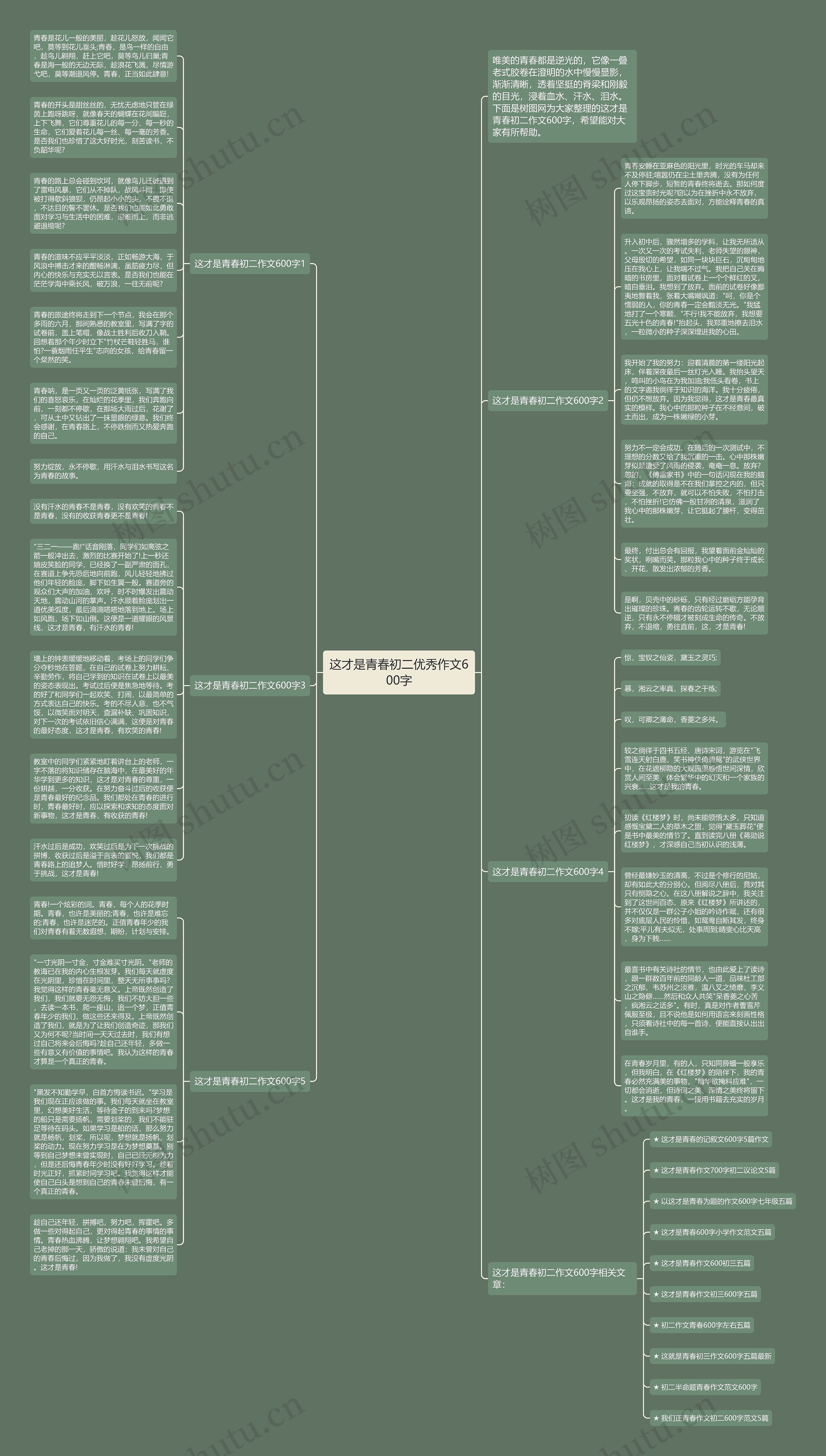 这才是青春初二优秀作文600字思维导图