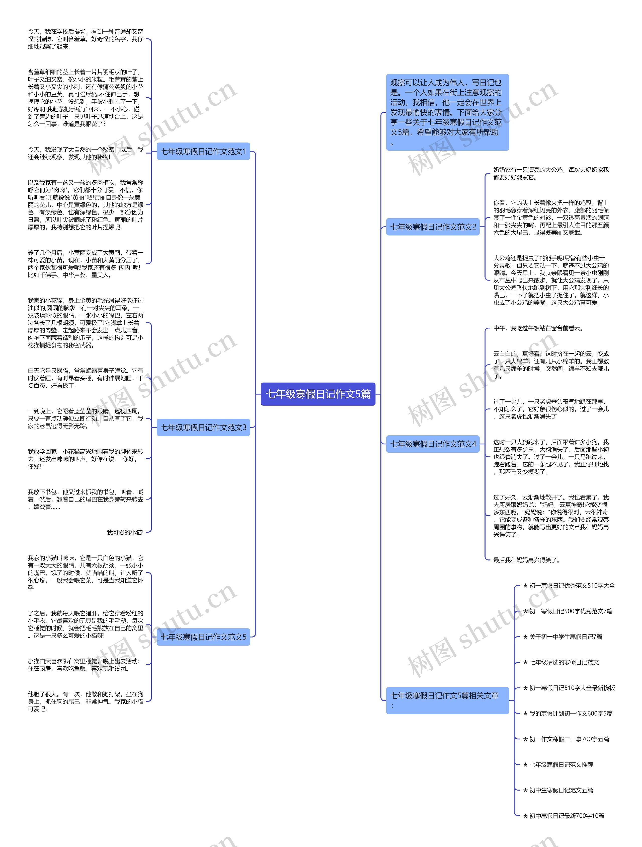 七年级寒假日记作文5篇思维导图