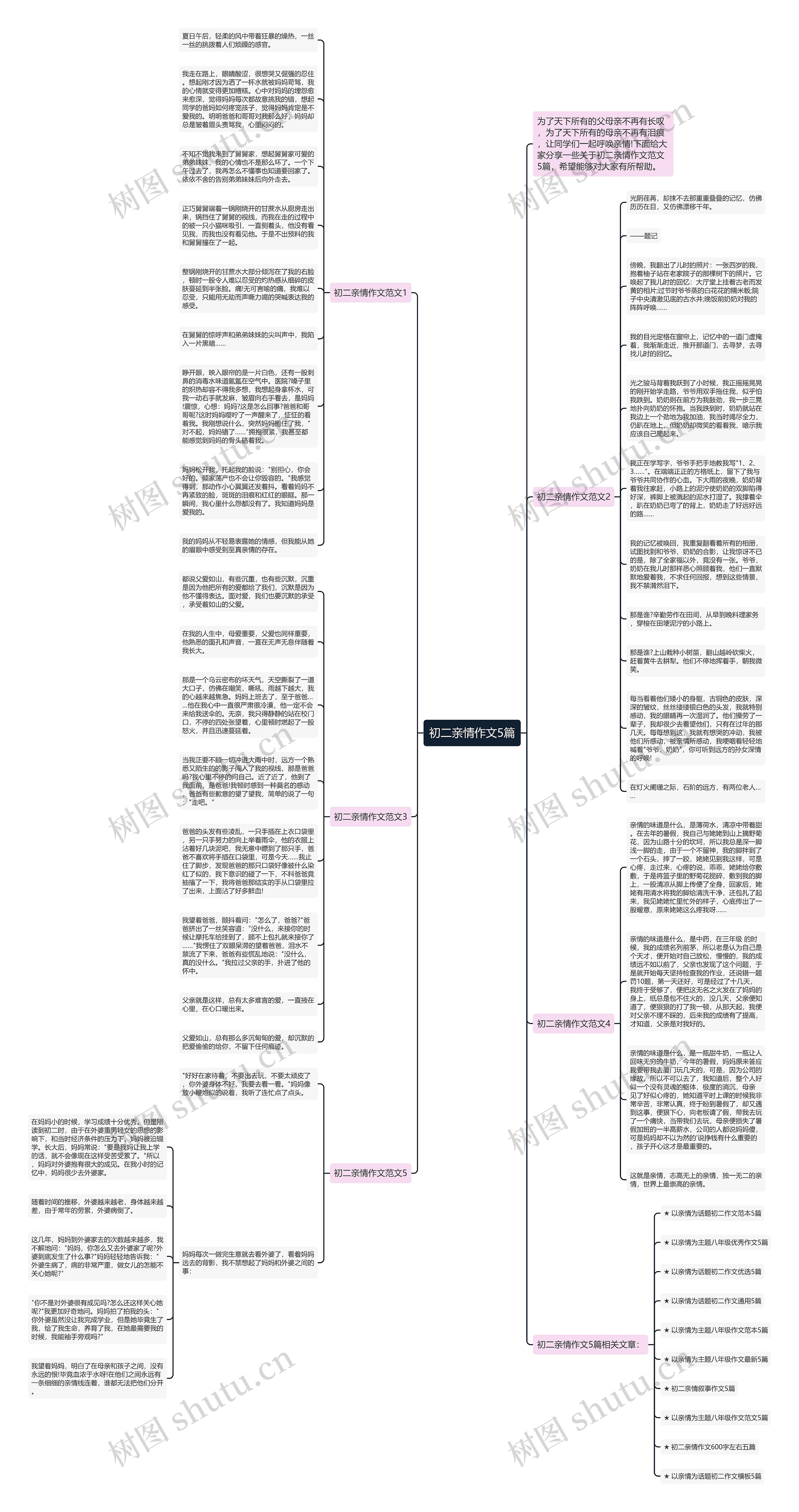 初二亲情作文5篇思维导图