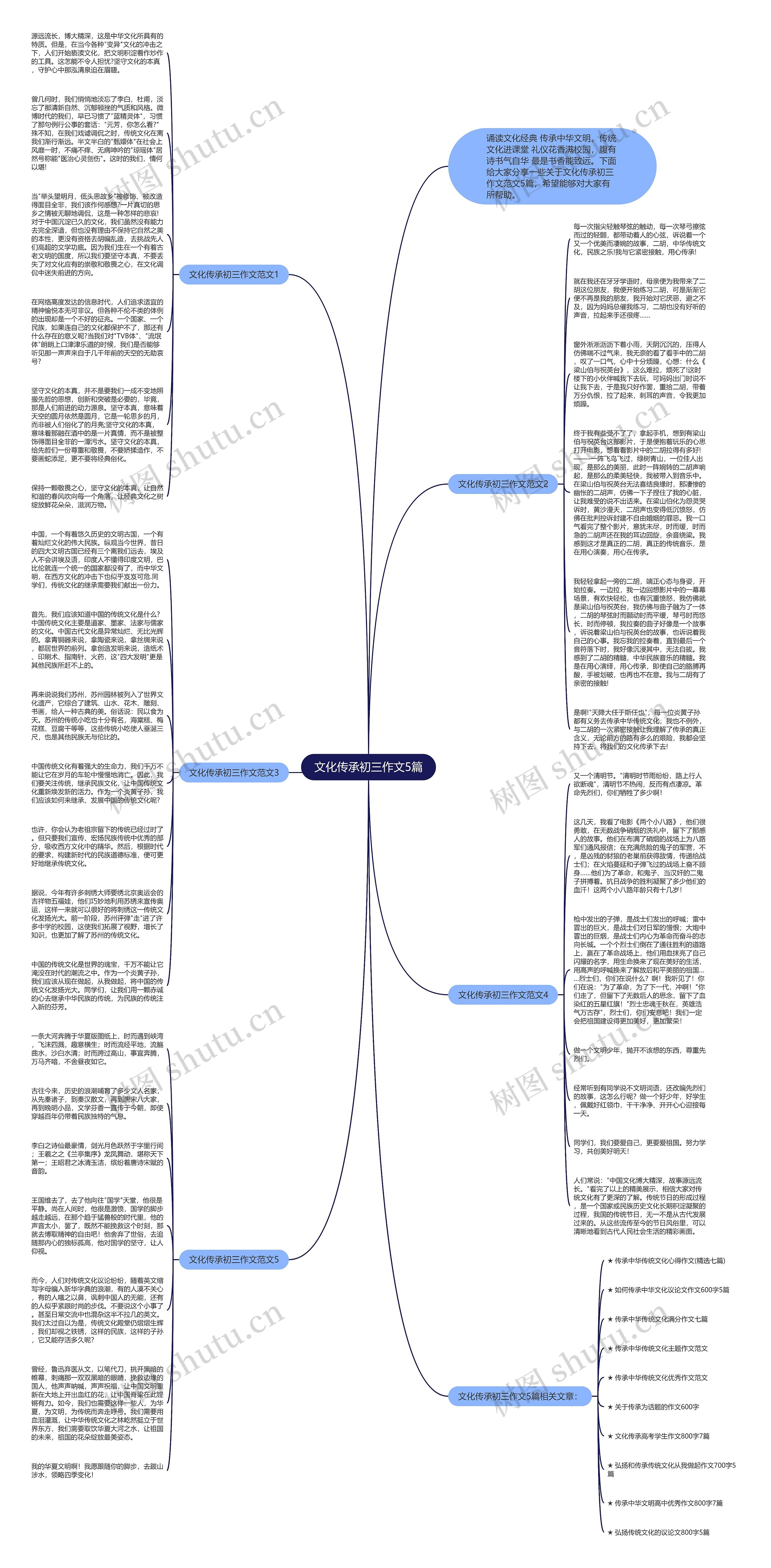 文化传承初三作文5篇思维导图