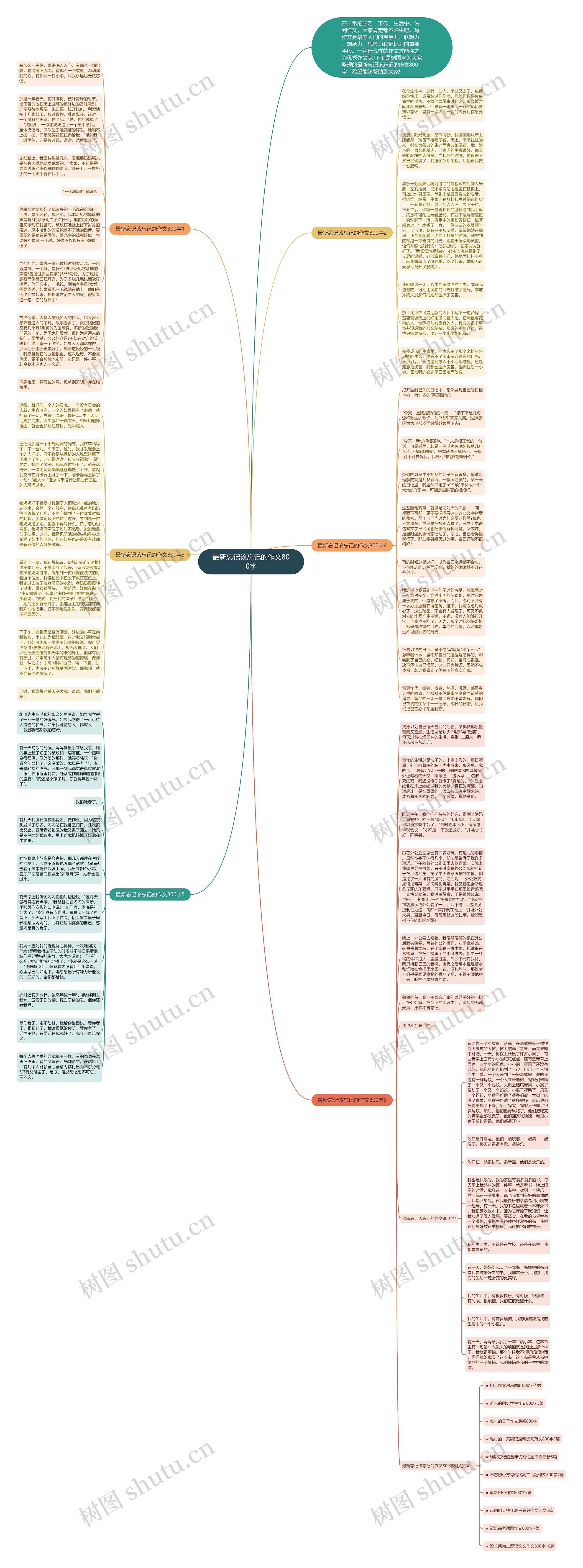 最新忘记该忘记的作文800字思维导图