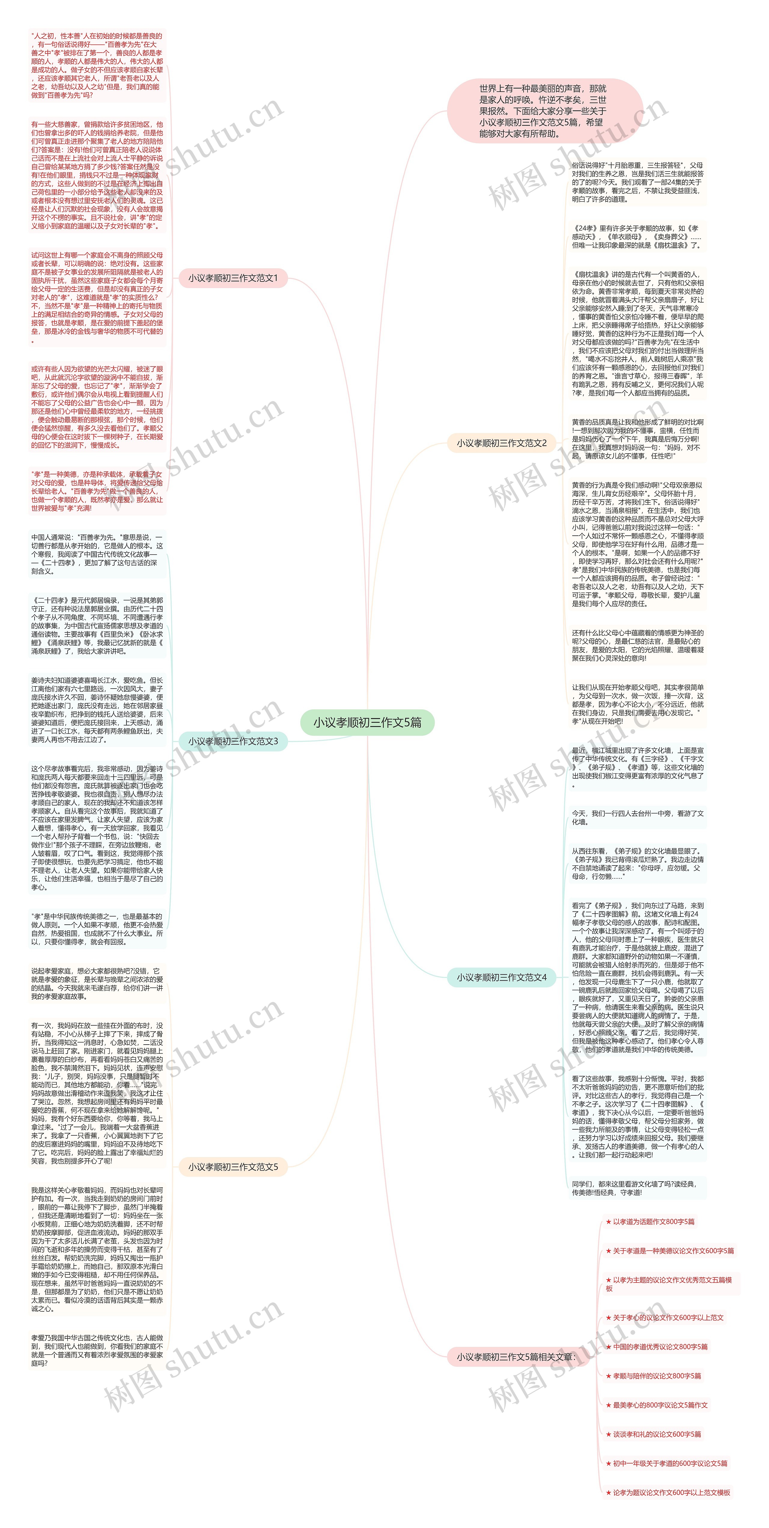小议孝顺初三作文5篇思维导图