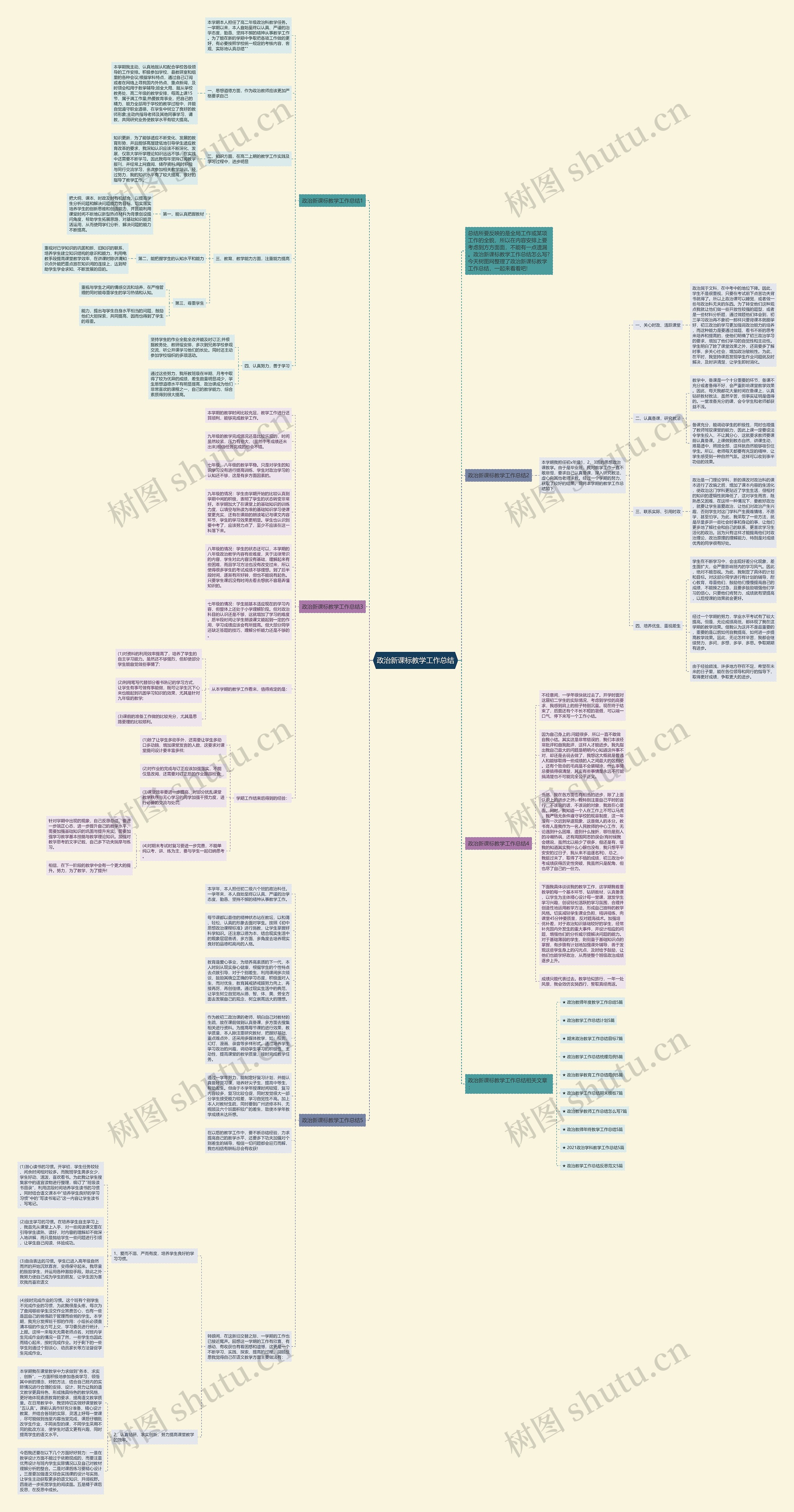 政治新课标教学工作总结思维导图