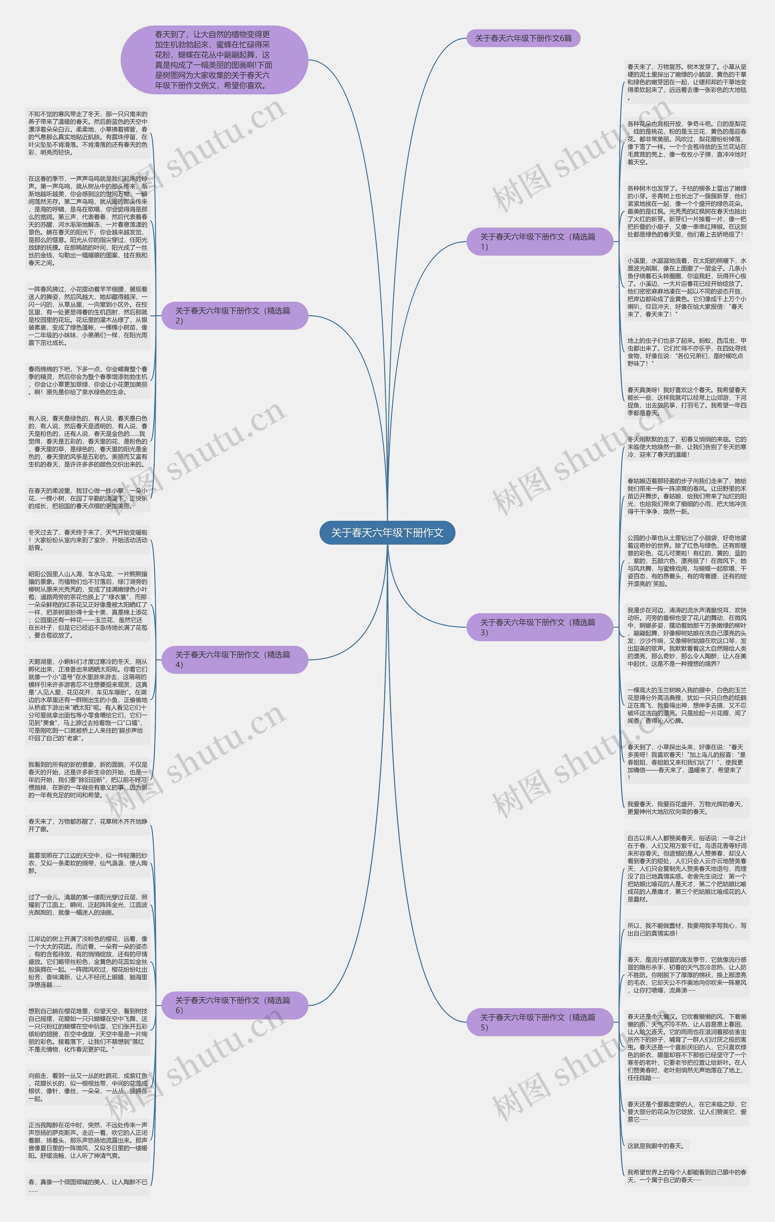 关于春天六年级下册作文思维导图