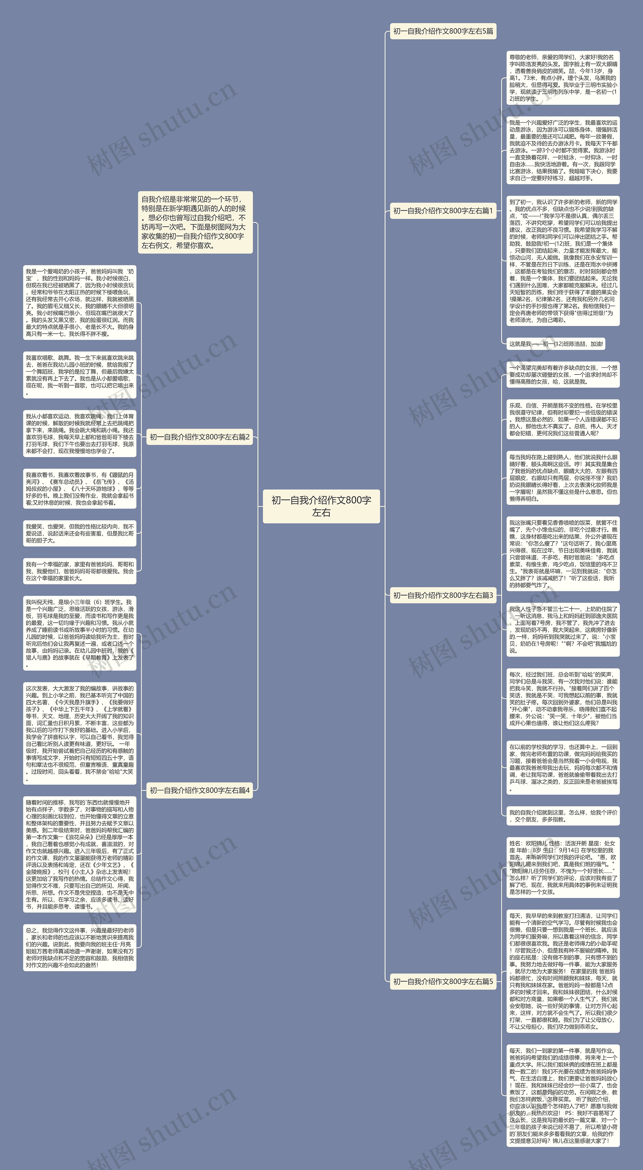 初一自我介绍作文800字左右思维导图