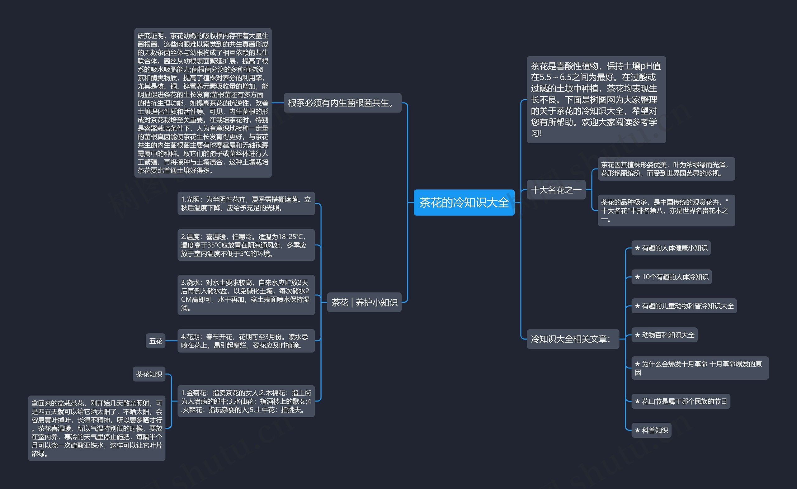 茶花的冷知识大全思维导图