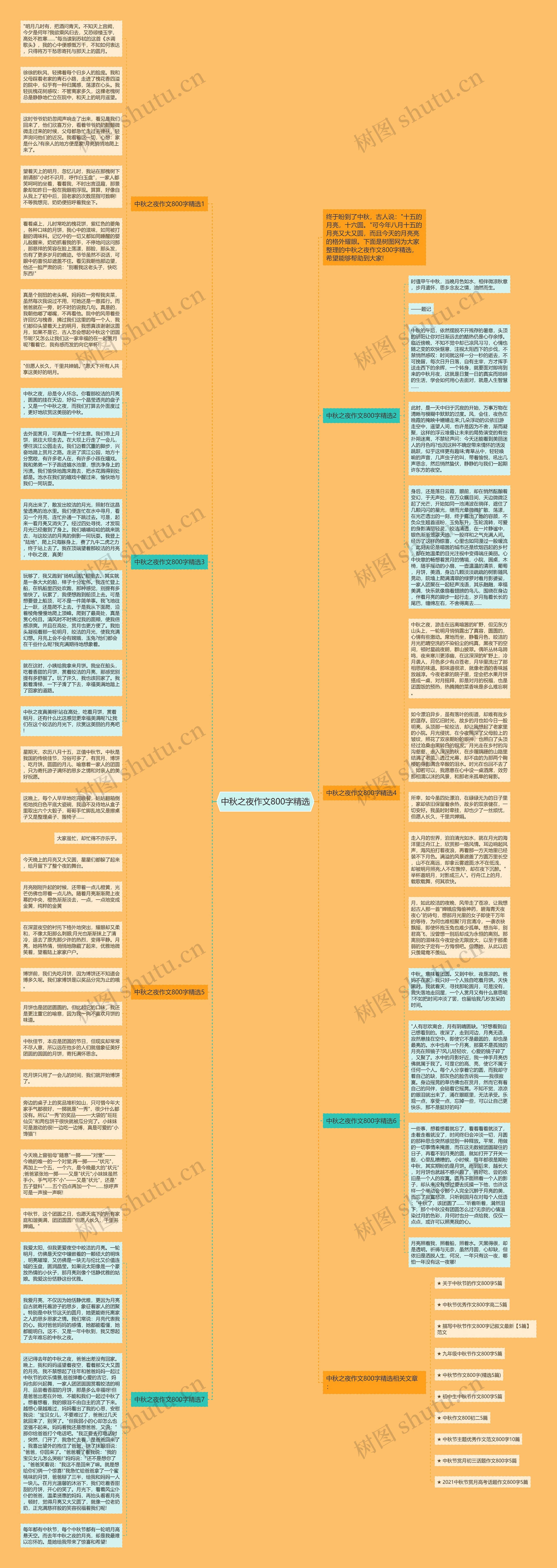 中秋之夜作文800字精选