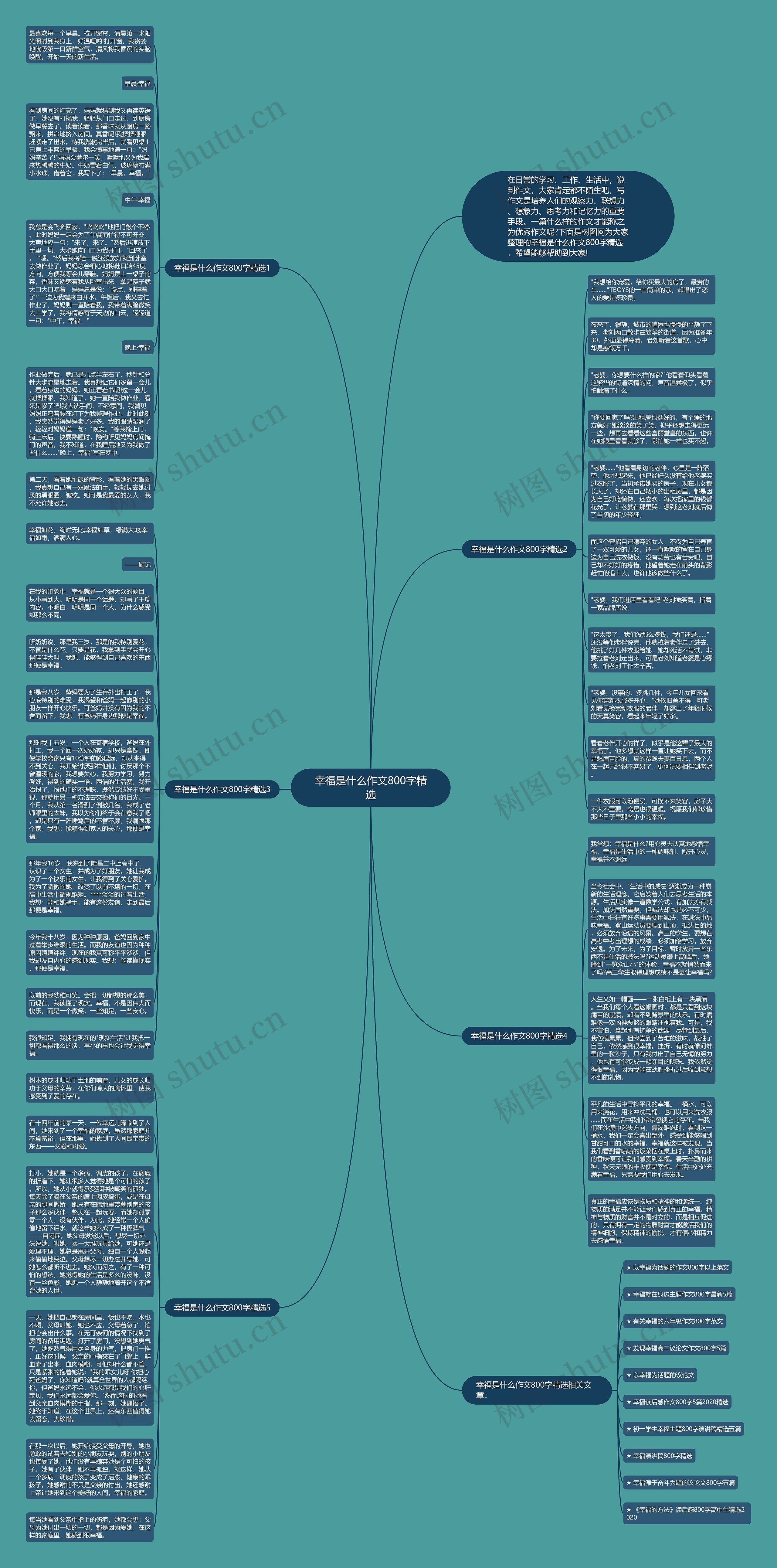 幸福是什么作文800字精选思维导图
