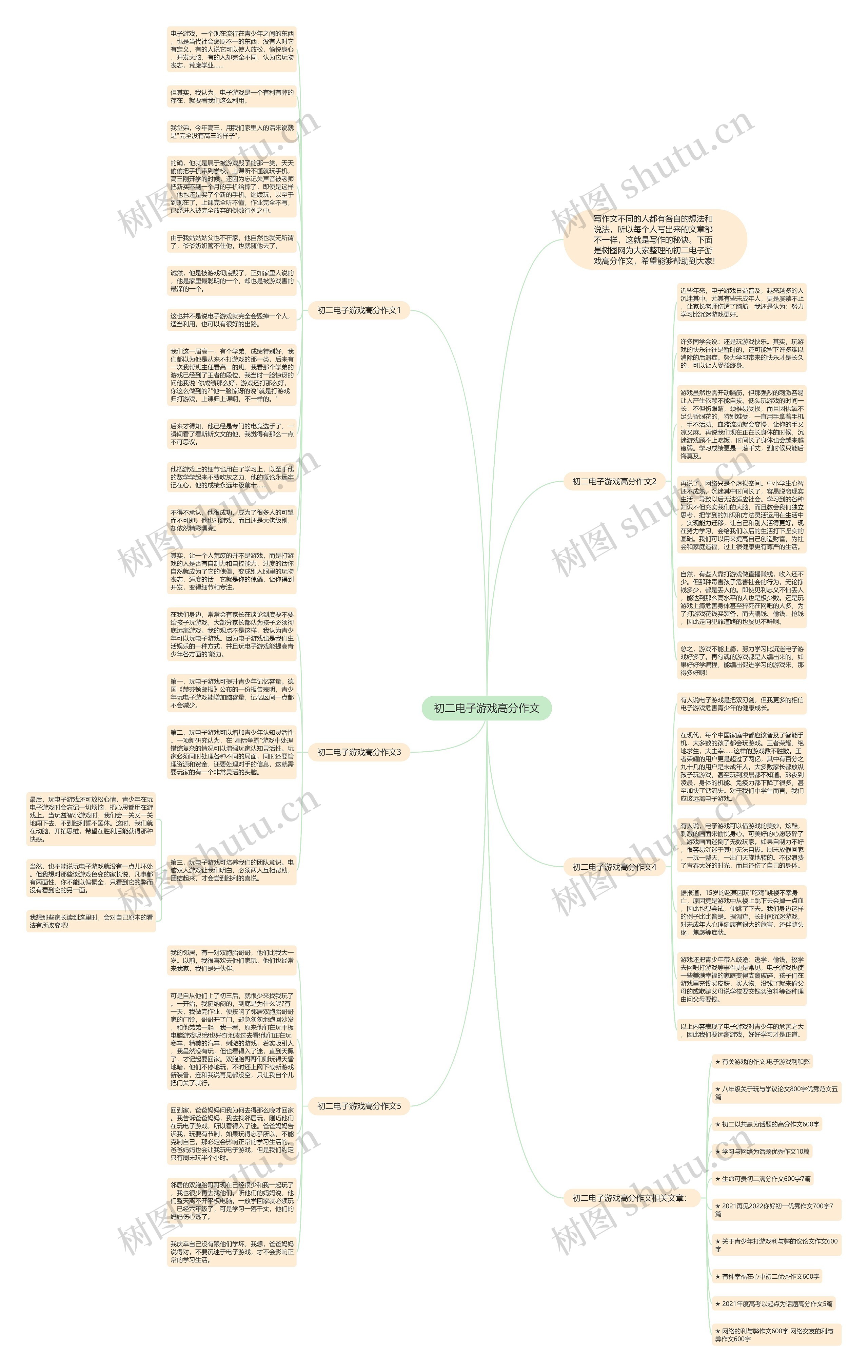 初二电子游戏高分作文思维导图