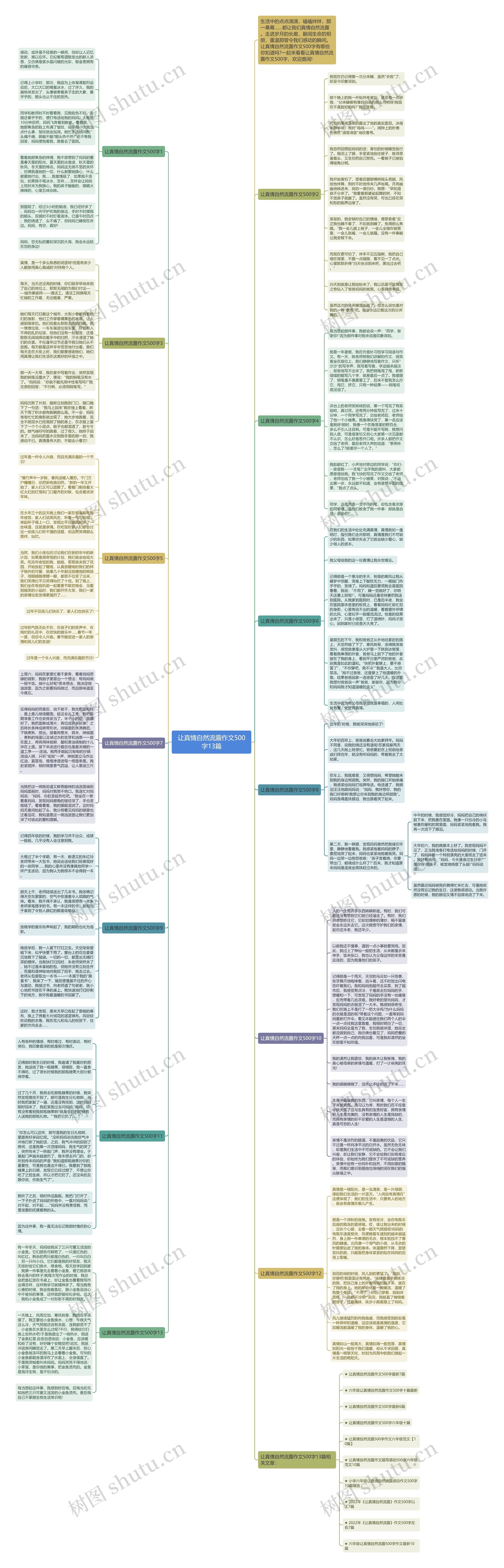 让真情自然流露作文500字13篇思维导图