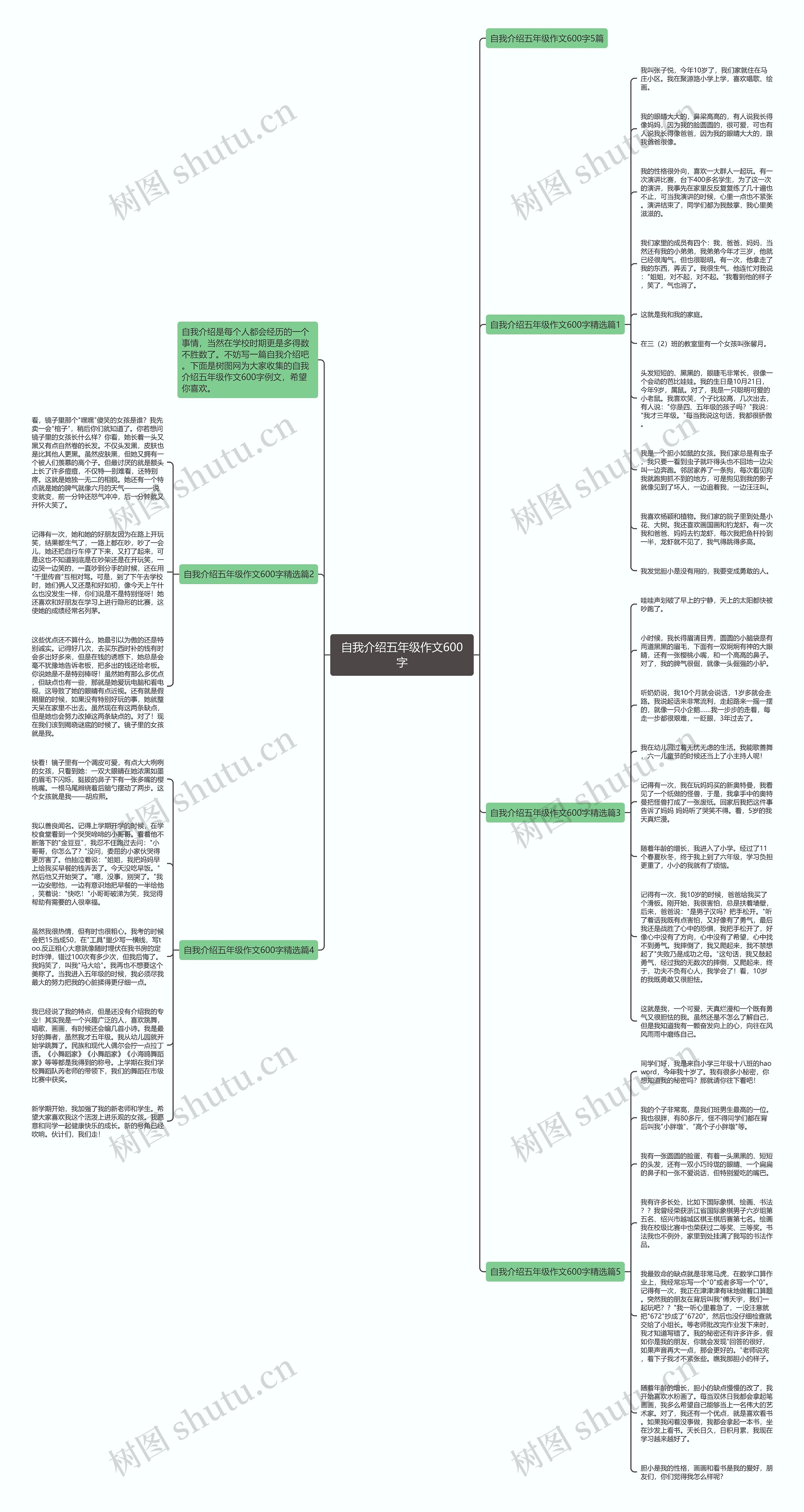自我介绍五年级作文600字思维导图