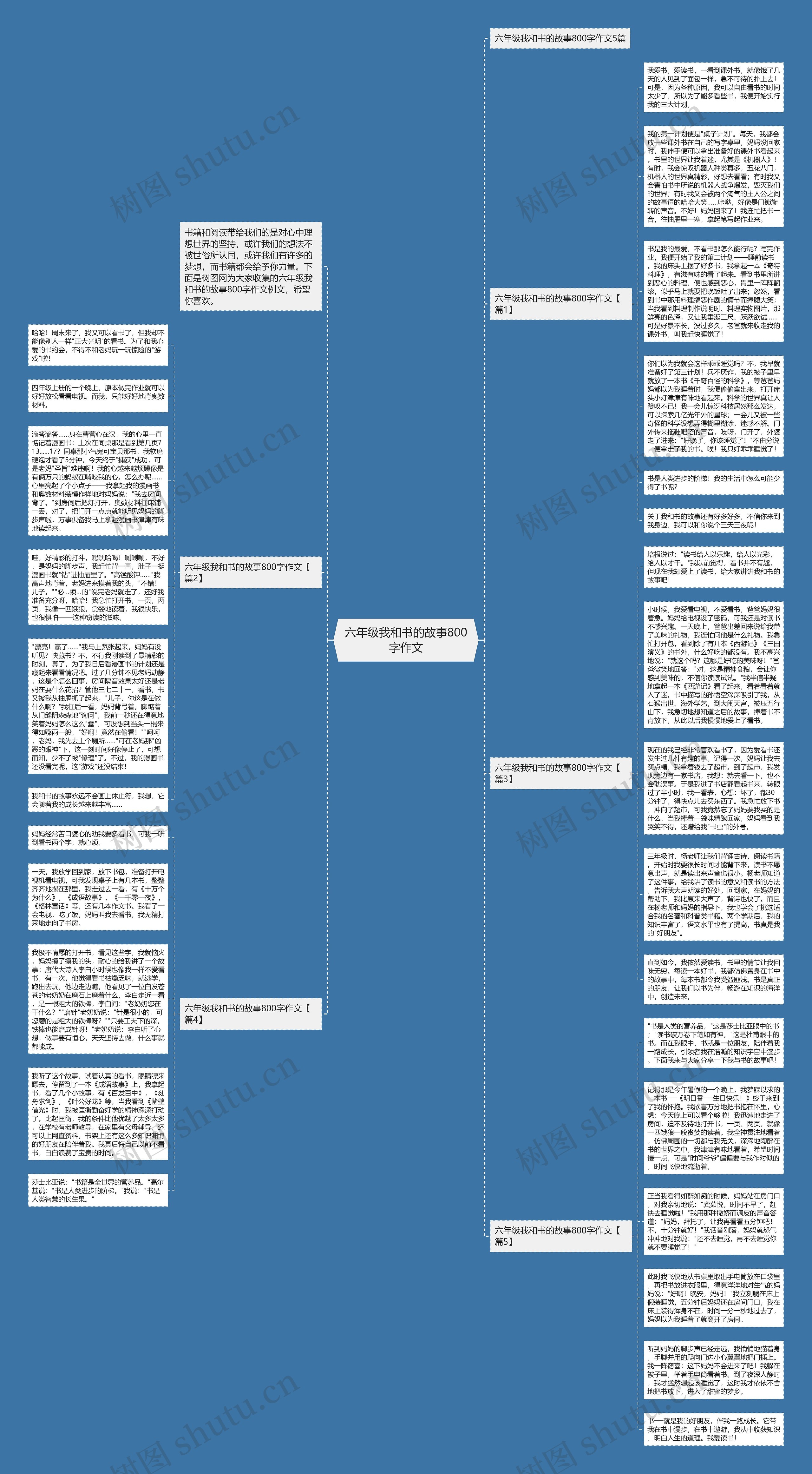 六年级我和书的故事800字作文思维导图