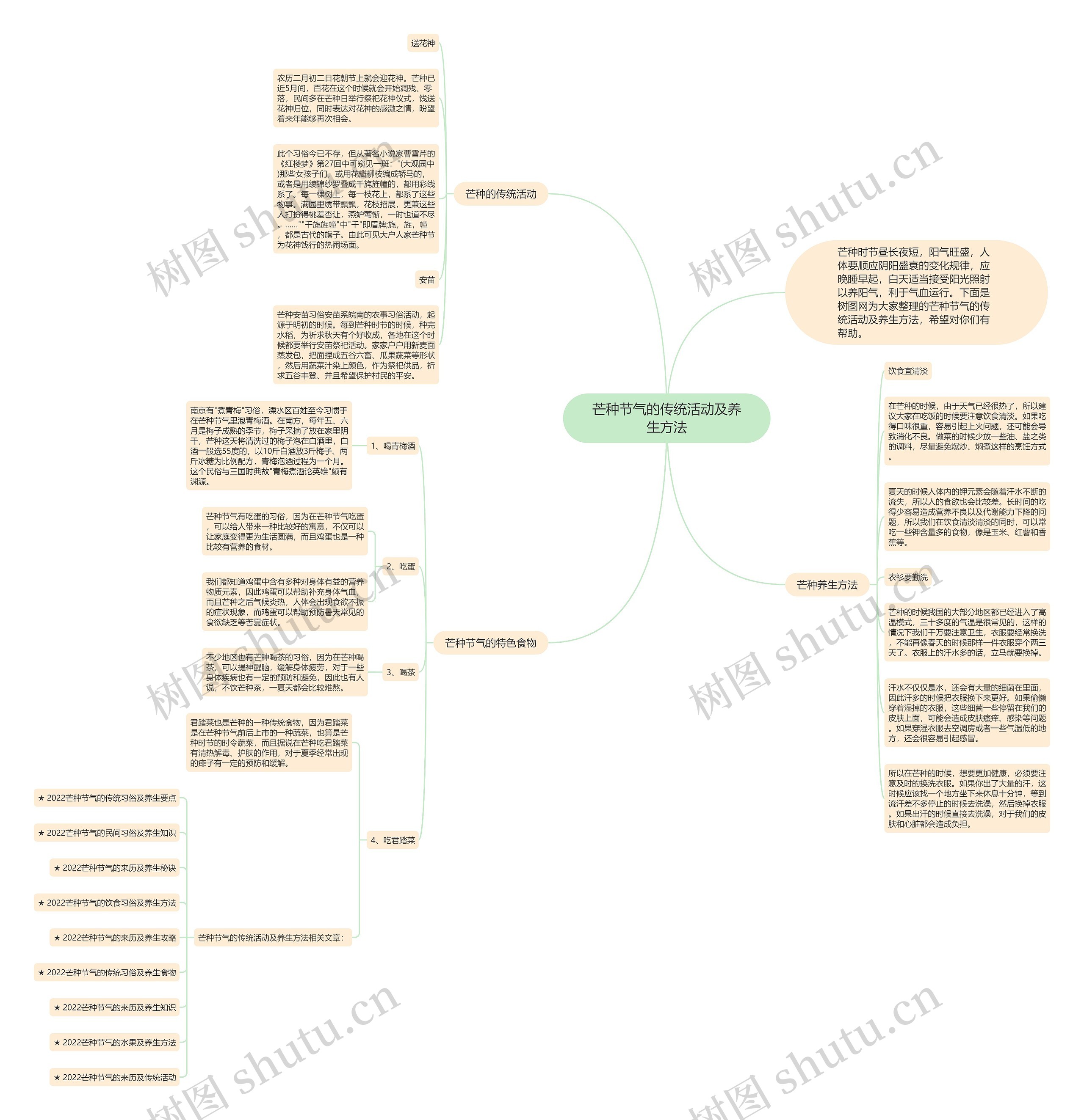 芒种节气的传统活动及养生方法思维导图