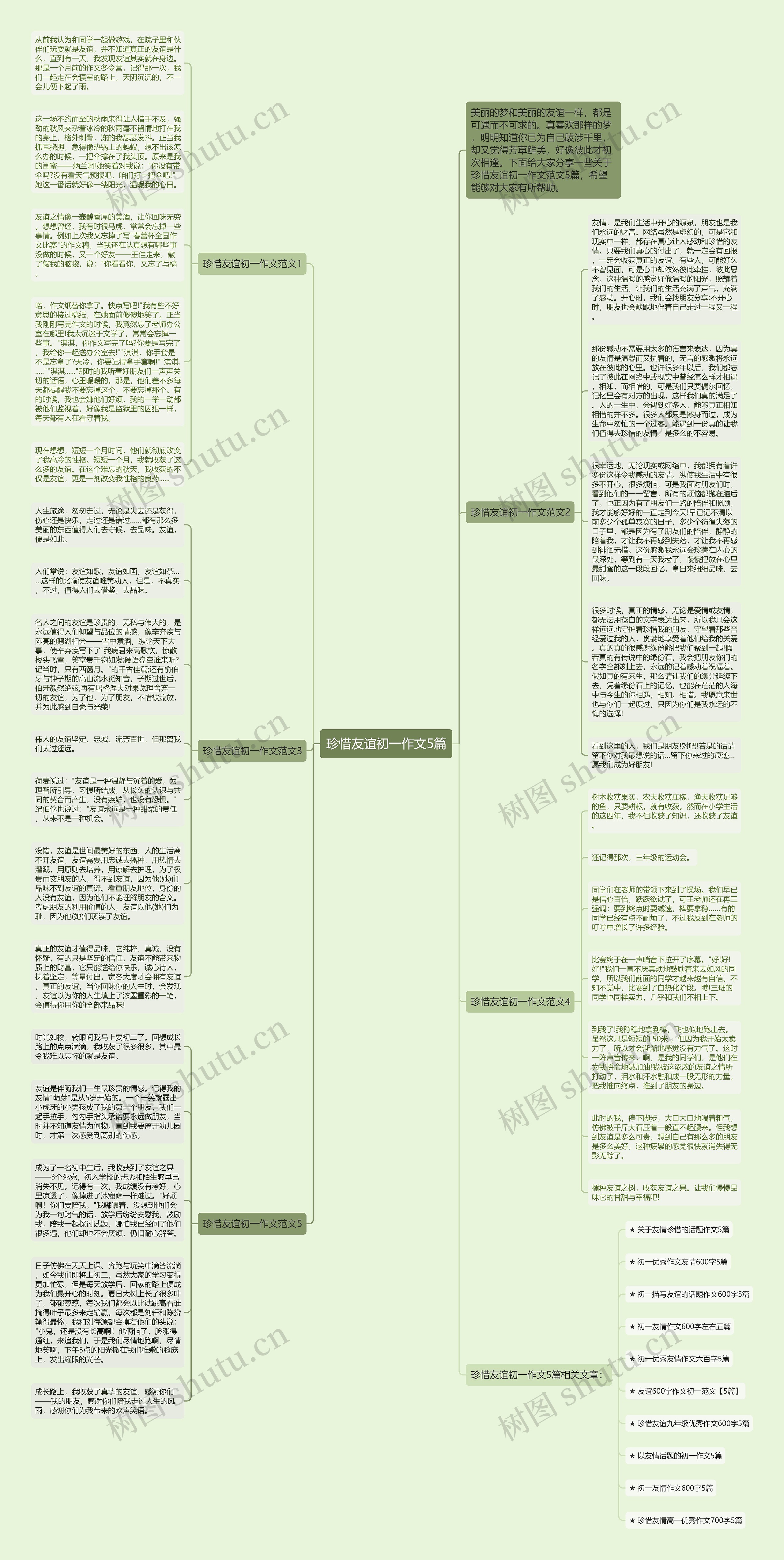 珍惜友谊初一作文5篇思维导图