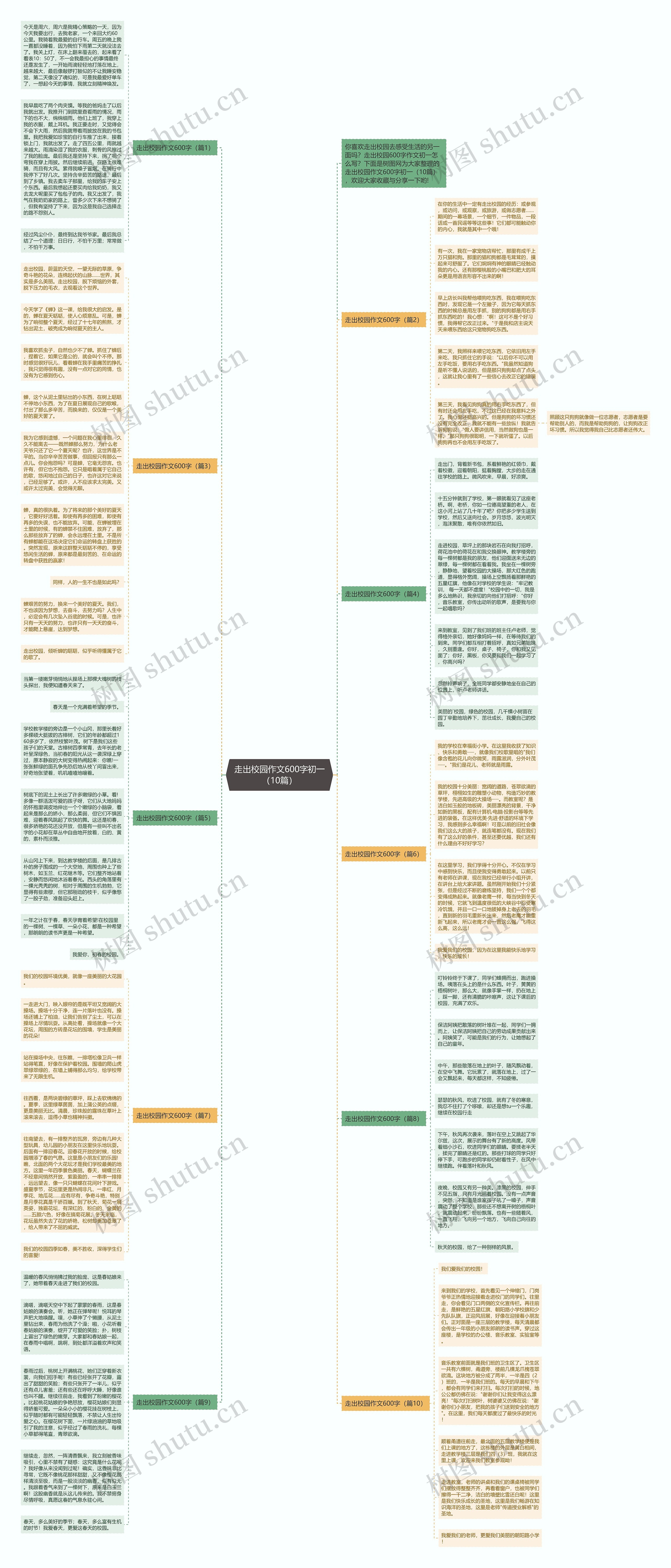 走出校园作文600字初一（10篇）思维导图