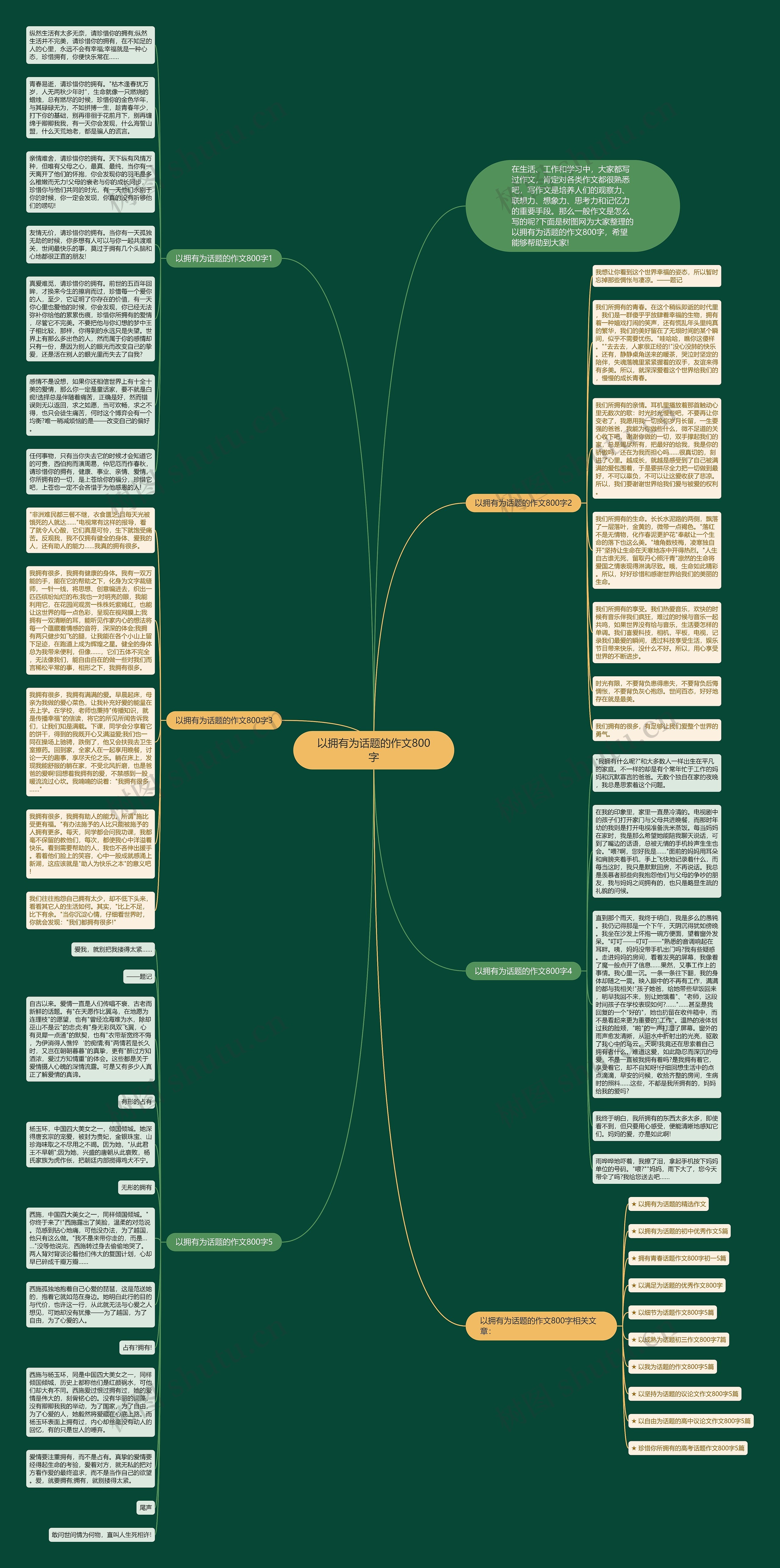 以拥有为话题的作文800字