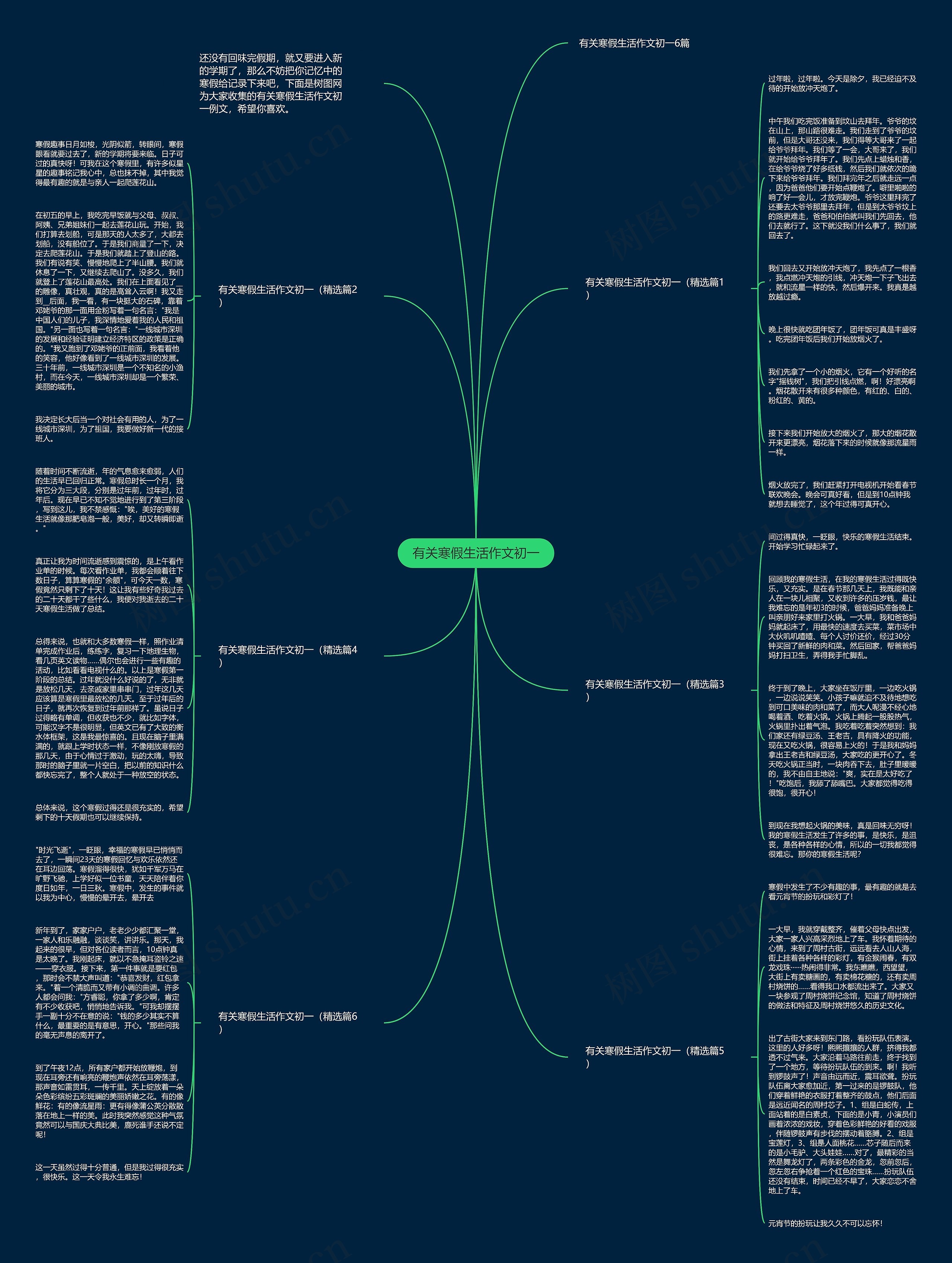 有关寒假生活作文初一思维导图