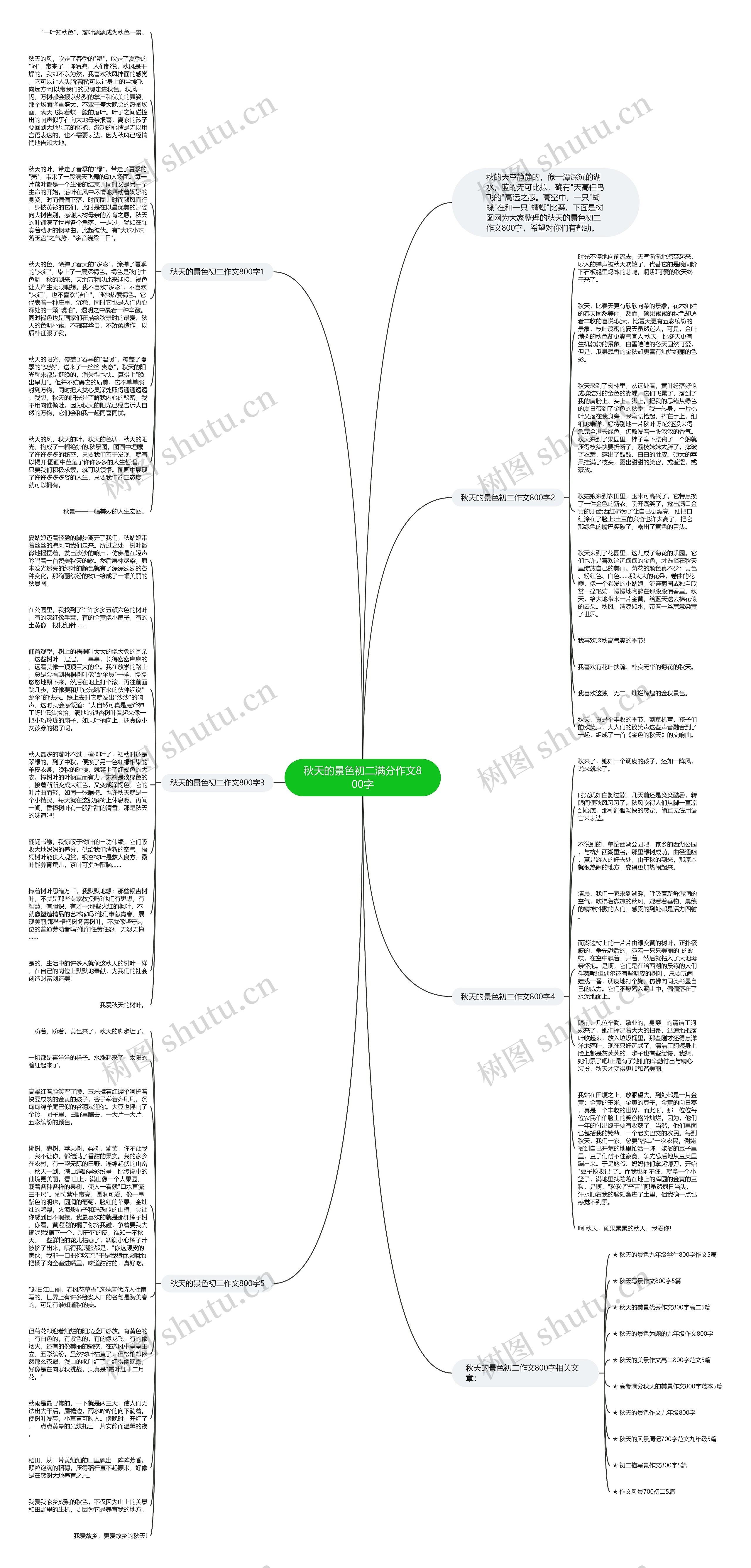 秋天的景色初二满分作文800字思维导图