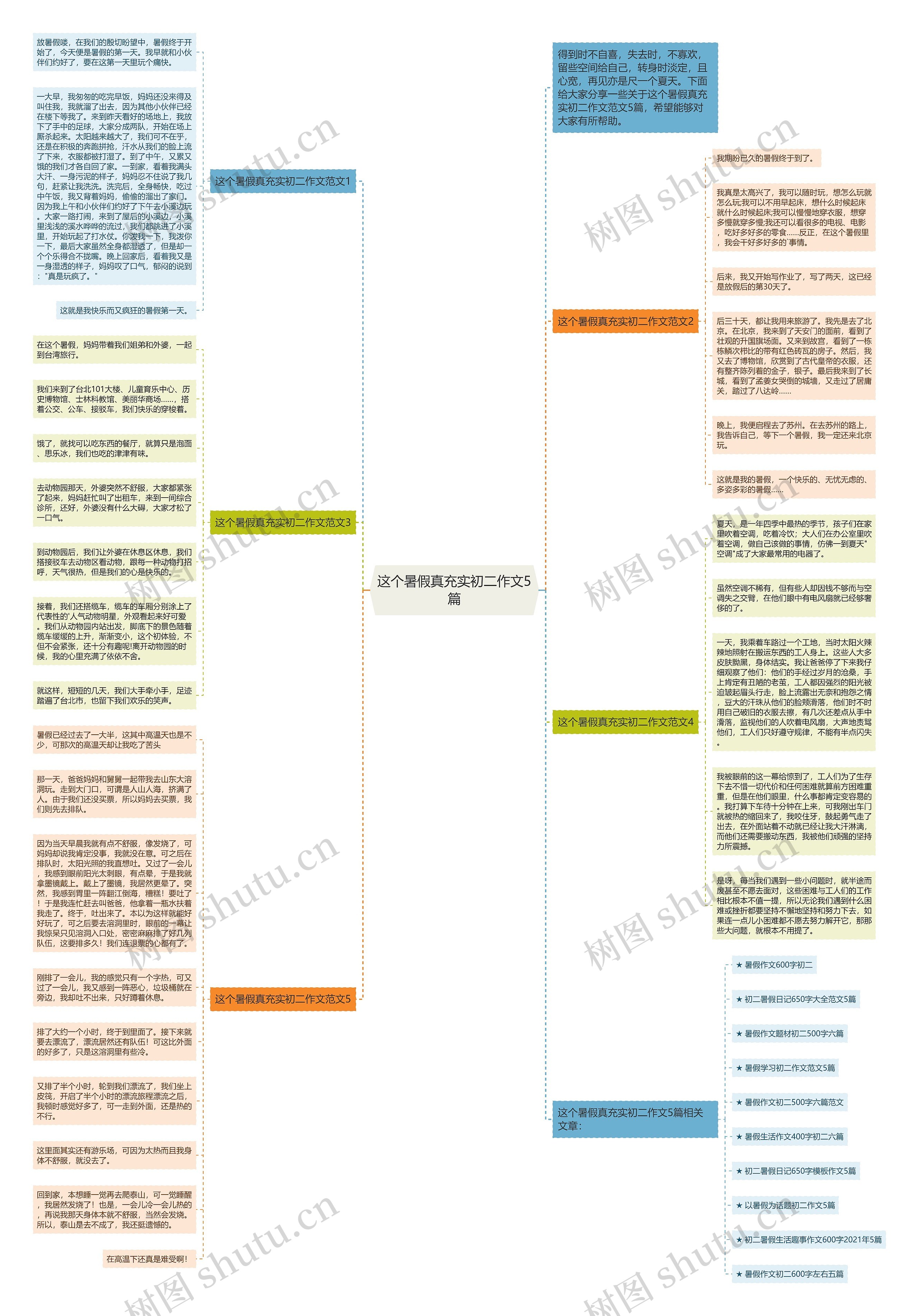 这个暑假真充实初二作文5篇思维导图