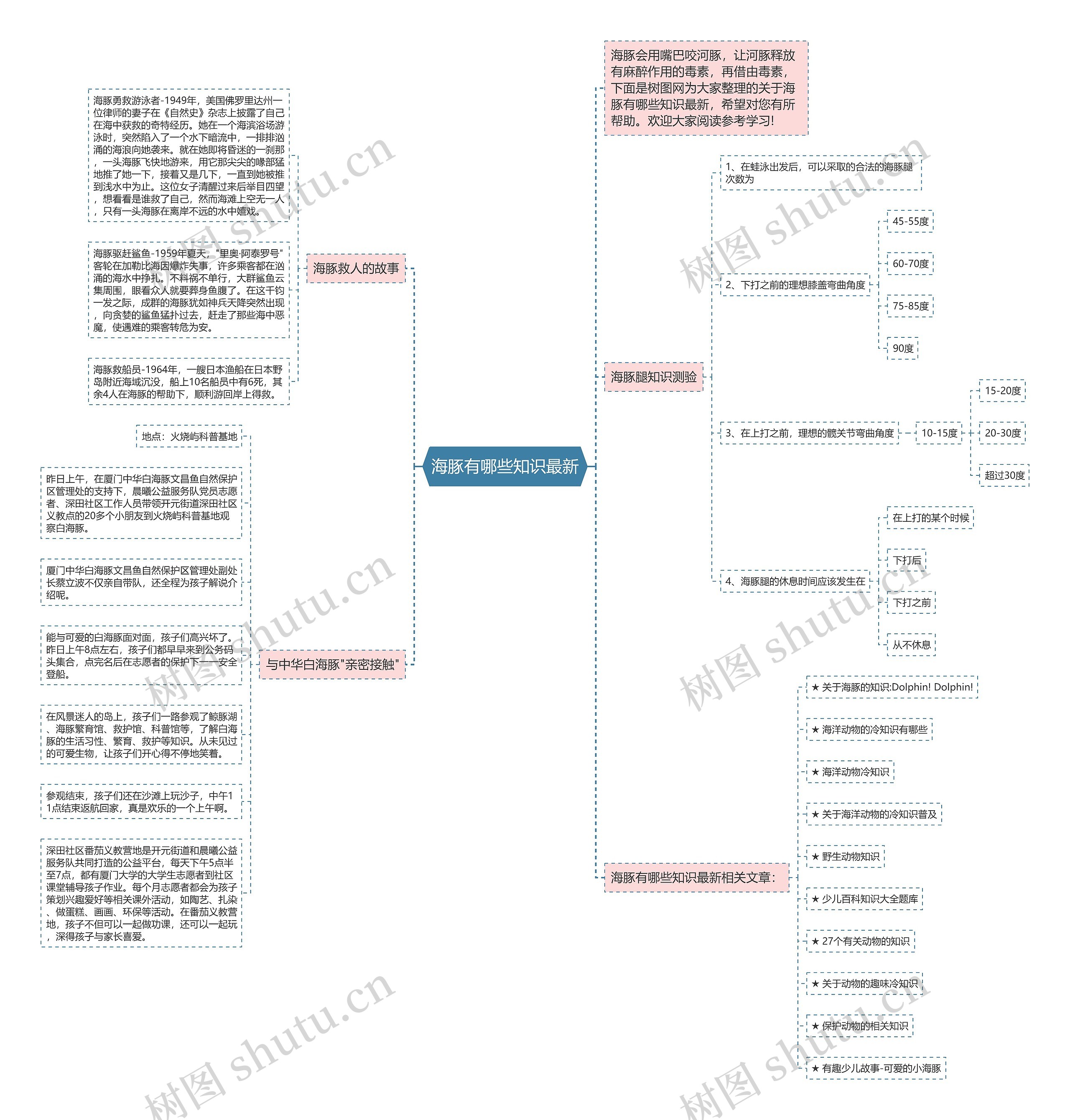 海豚有哪些知识最新思维导图