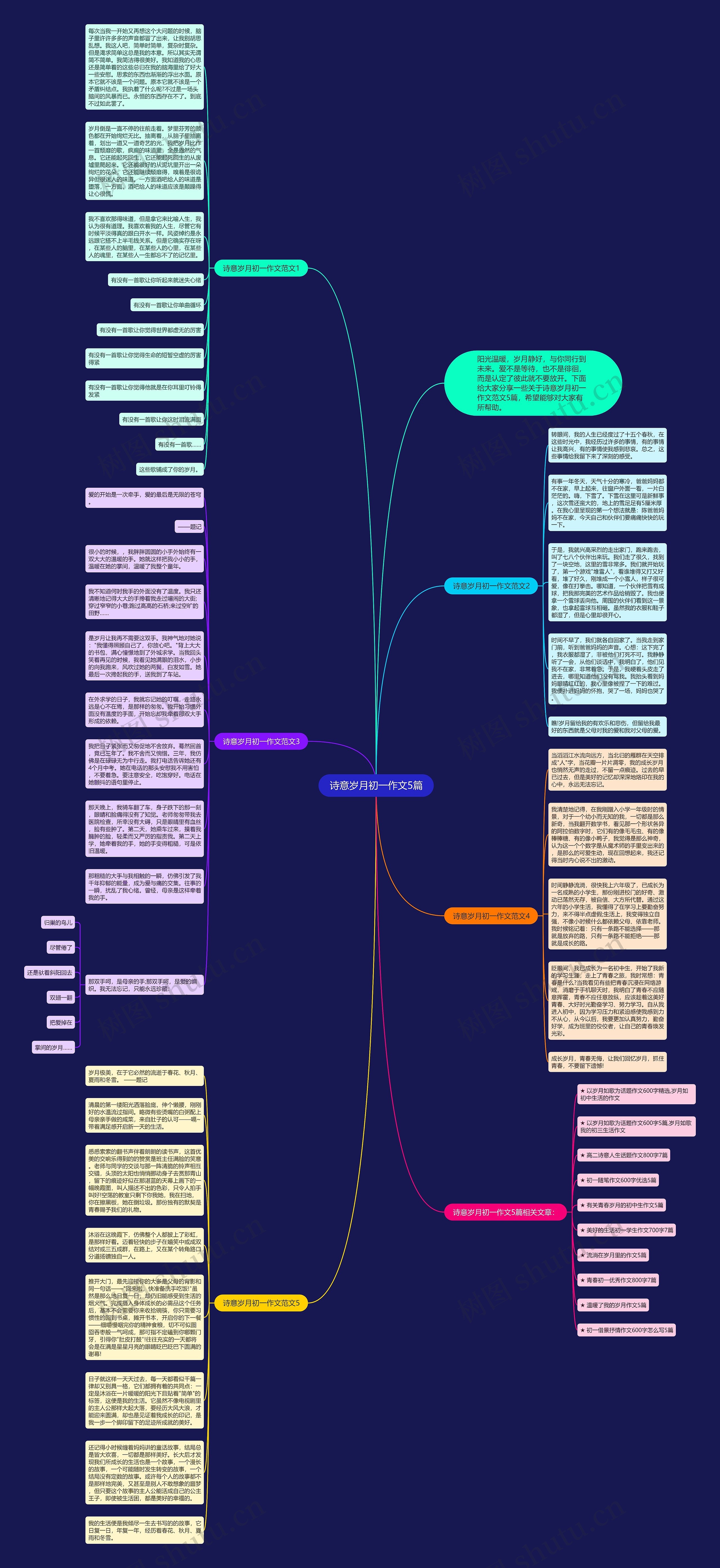 诗意岁月初一作文5篇思维导图