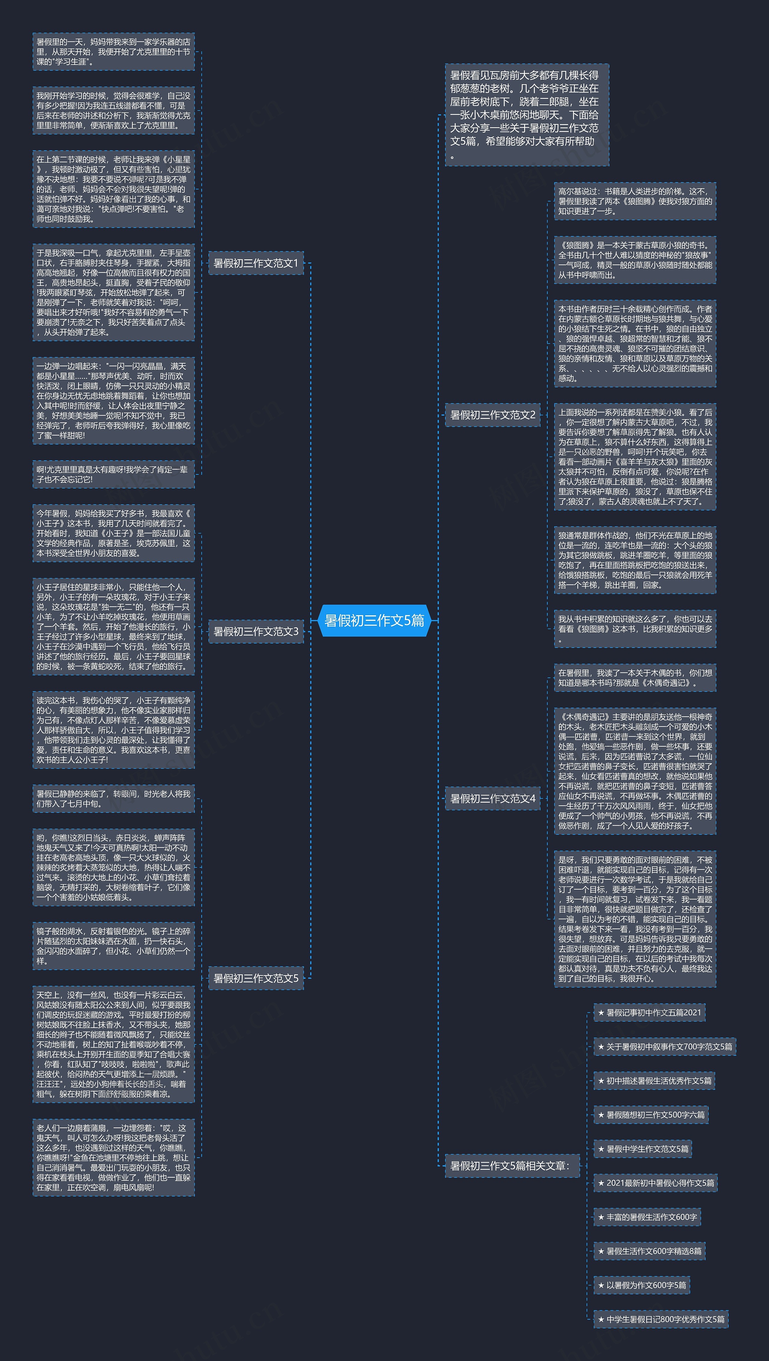 暑假初三作文5篇思维导图