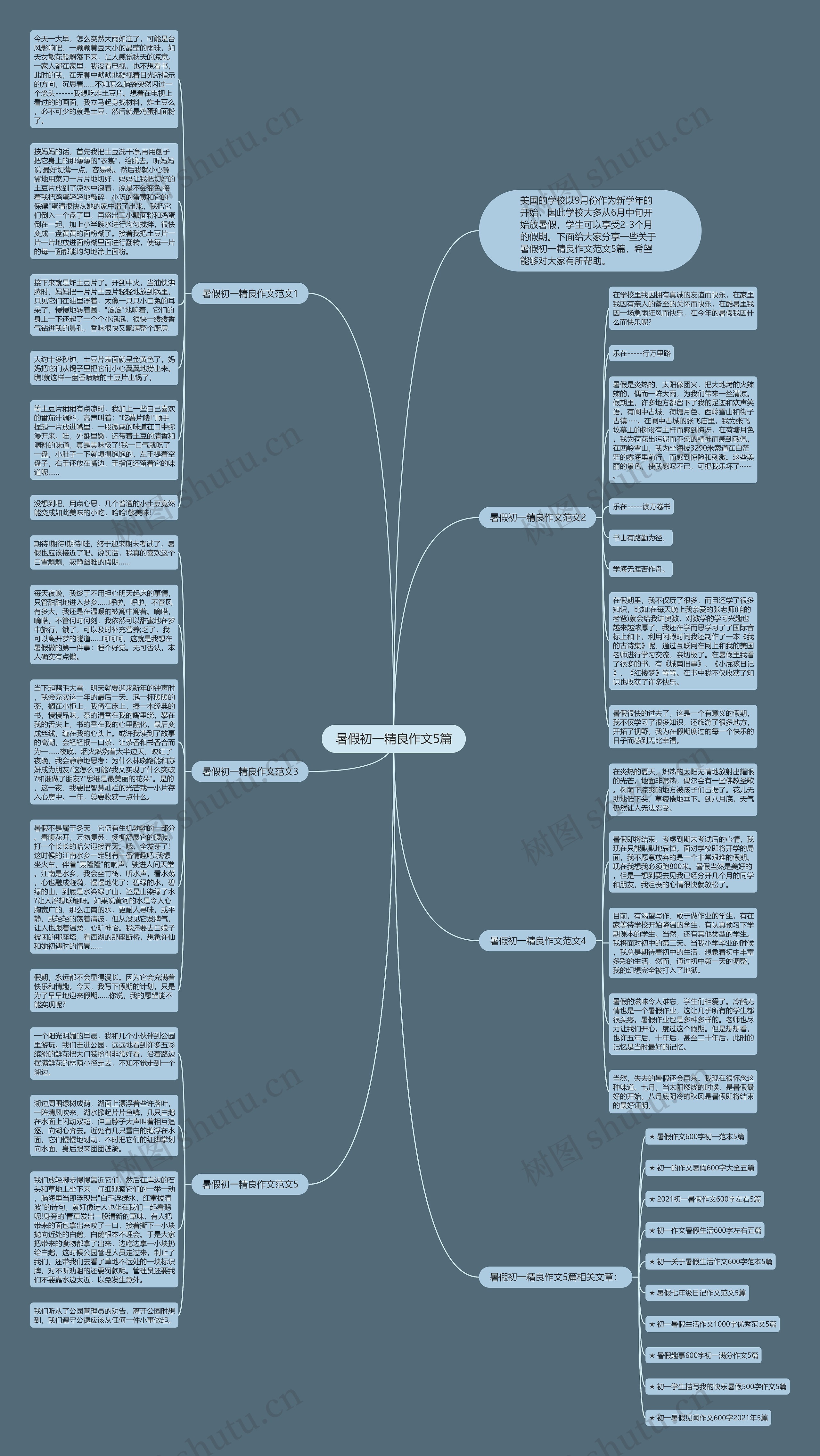 暑假初一精良作文5篇思维导图