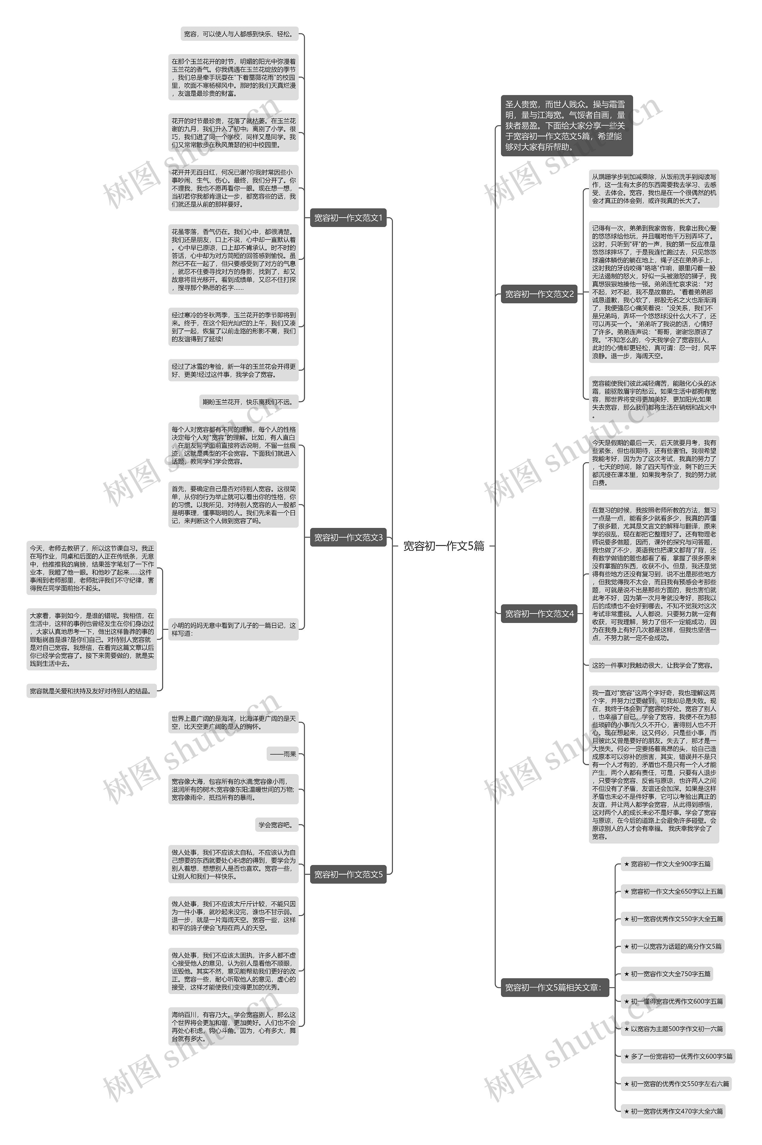 宽容初一作文5篇思维导图
