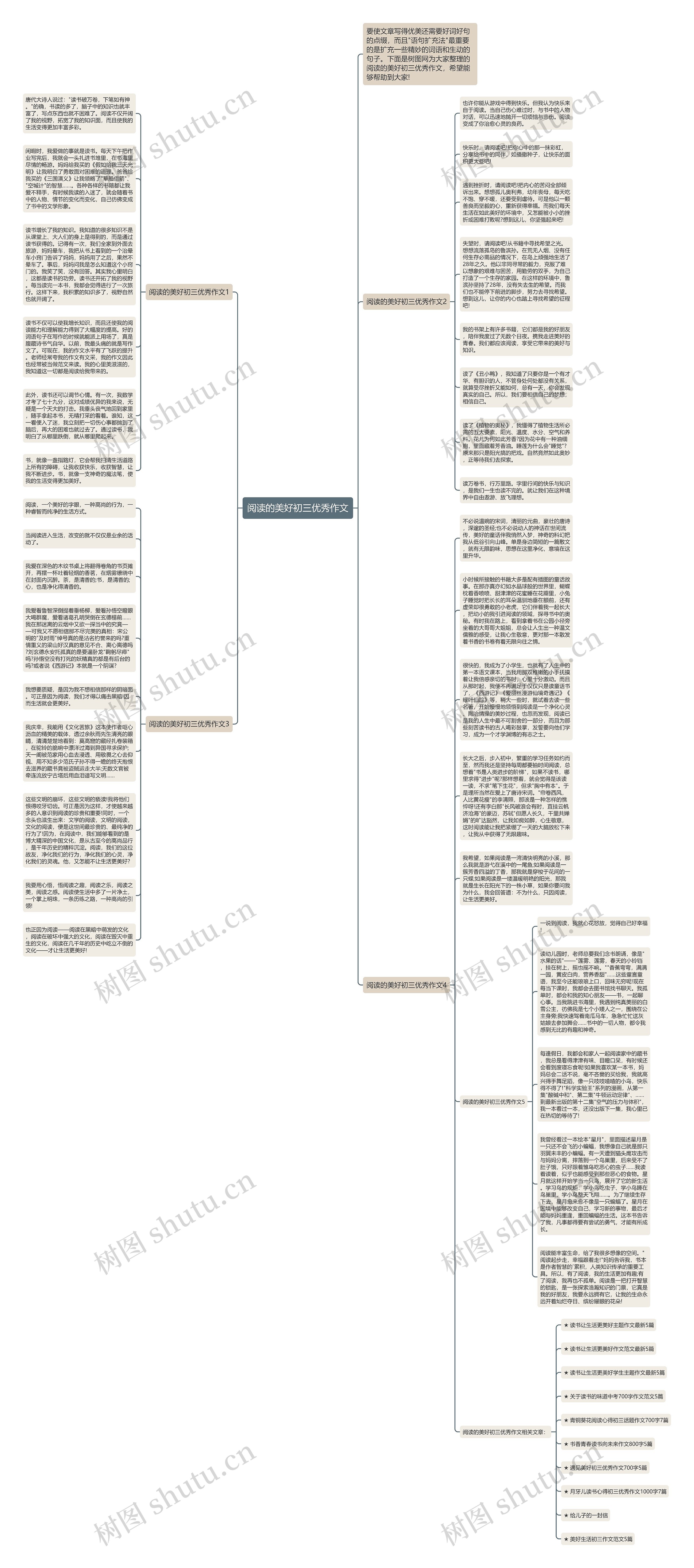 阅读的美好初三优秀作文思维导图