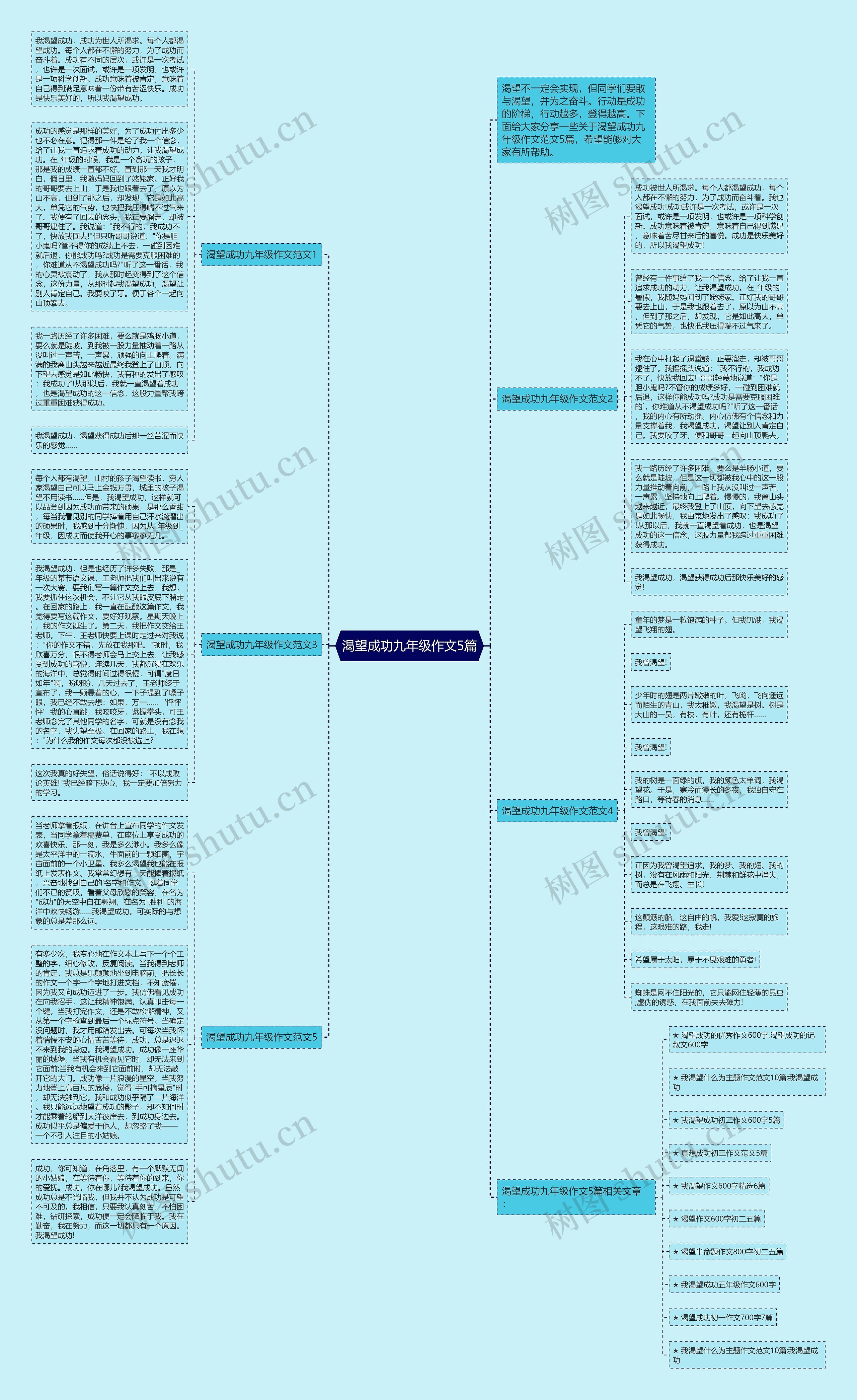 渴望成功九年级作文5篇思维导图